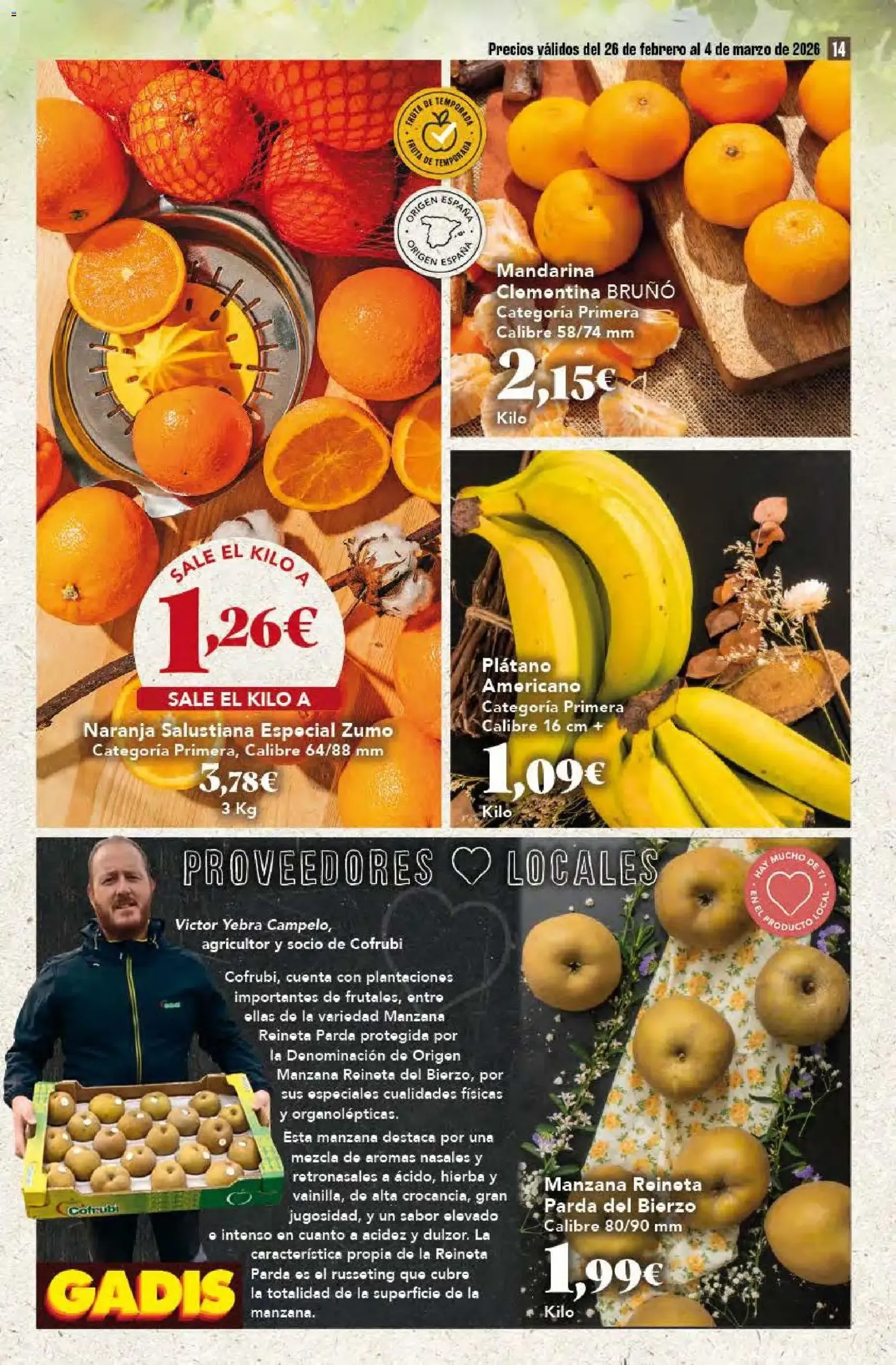 Gadis - folleto - folleto válido desde 26/02/2026 página 14 de 48