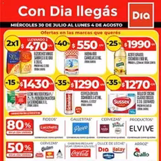 Vista previa del folleto Supermercado DIA Ofertas válido desde 30/07/2025