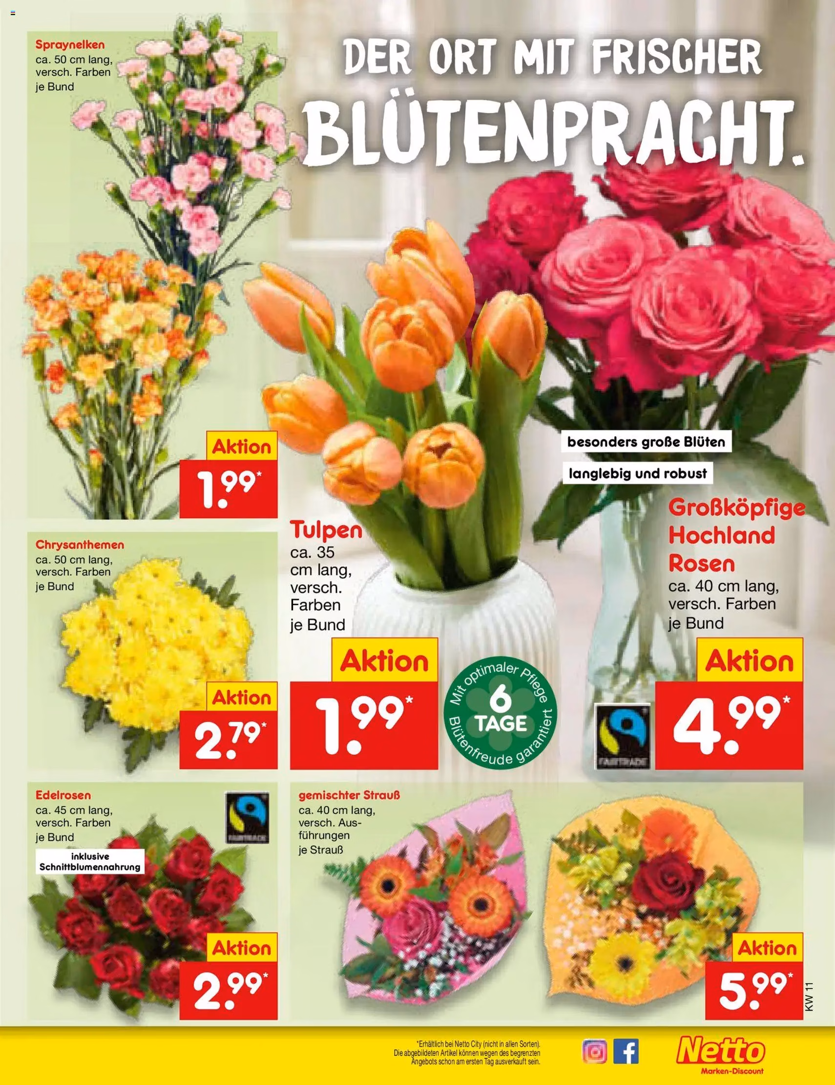 Netto Marken-Discount Prospekt - Gültiger Prospekt ab 09.03.2026, Seite 53 von insgesamt 60