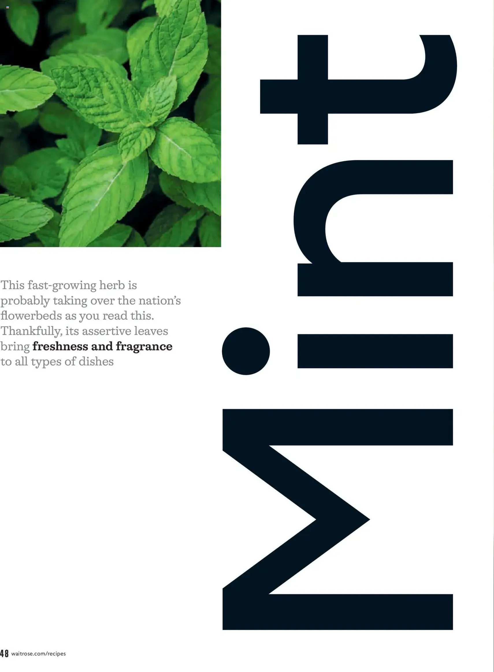 Waitrose - May 2026 - valid flyer from 01/05/2026, page 48 of 112