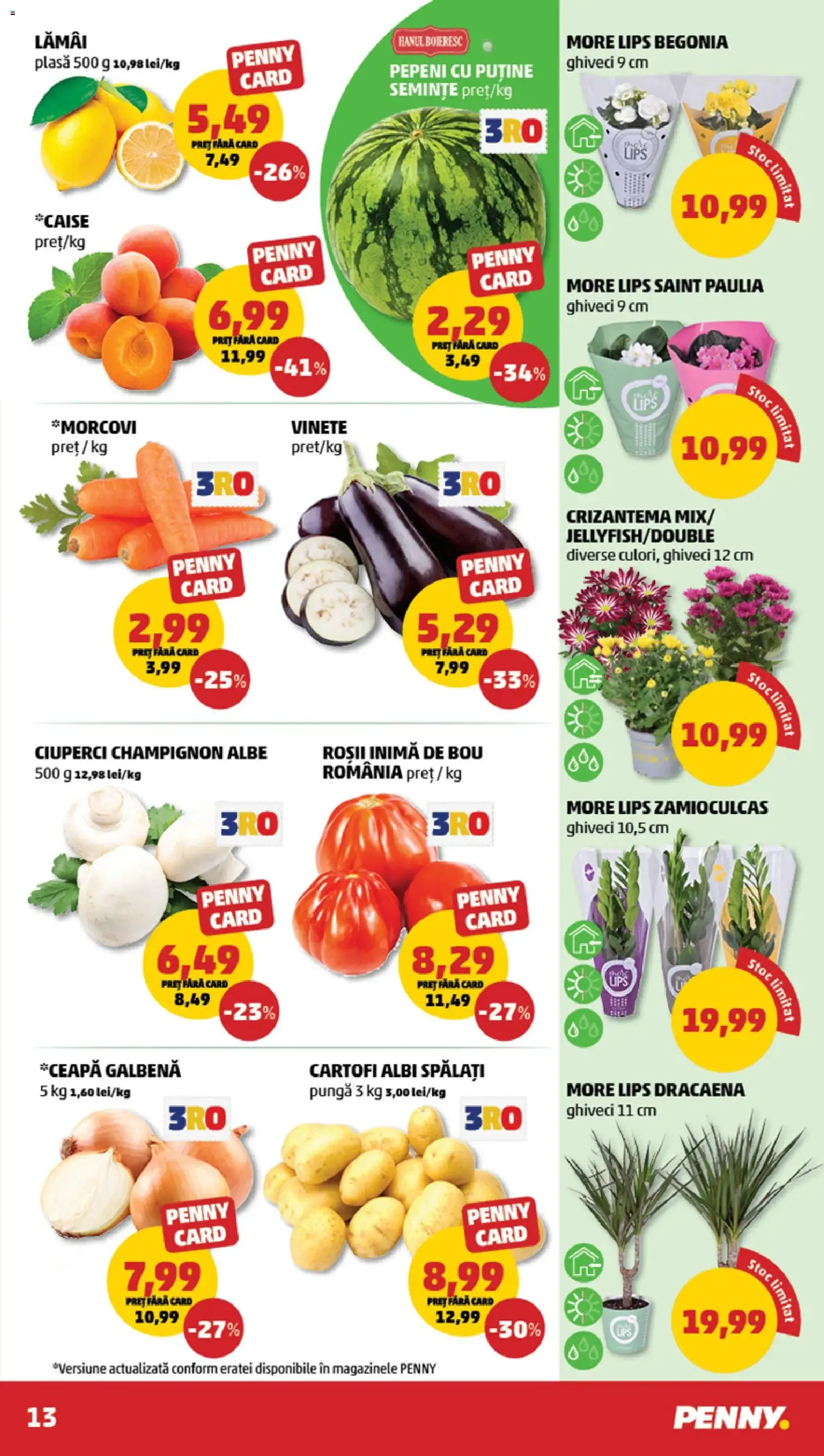 PENNY Catalog - cataloage valabile începând cu 15.07.2026 pagina 13 din 24