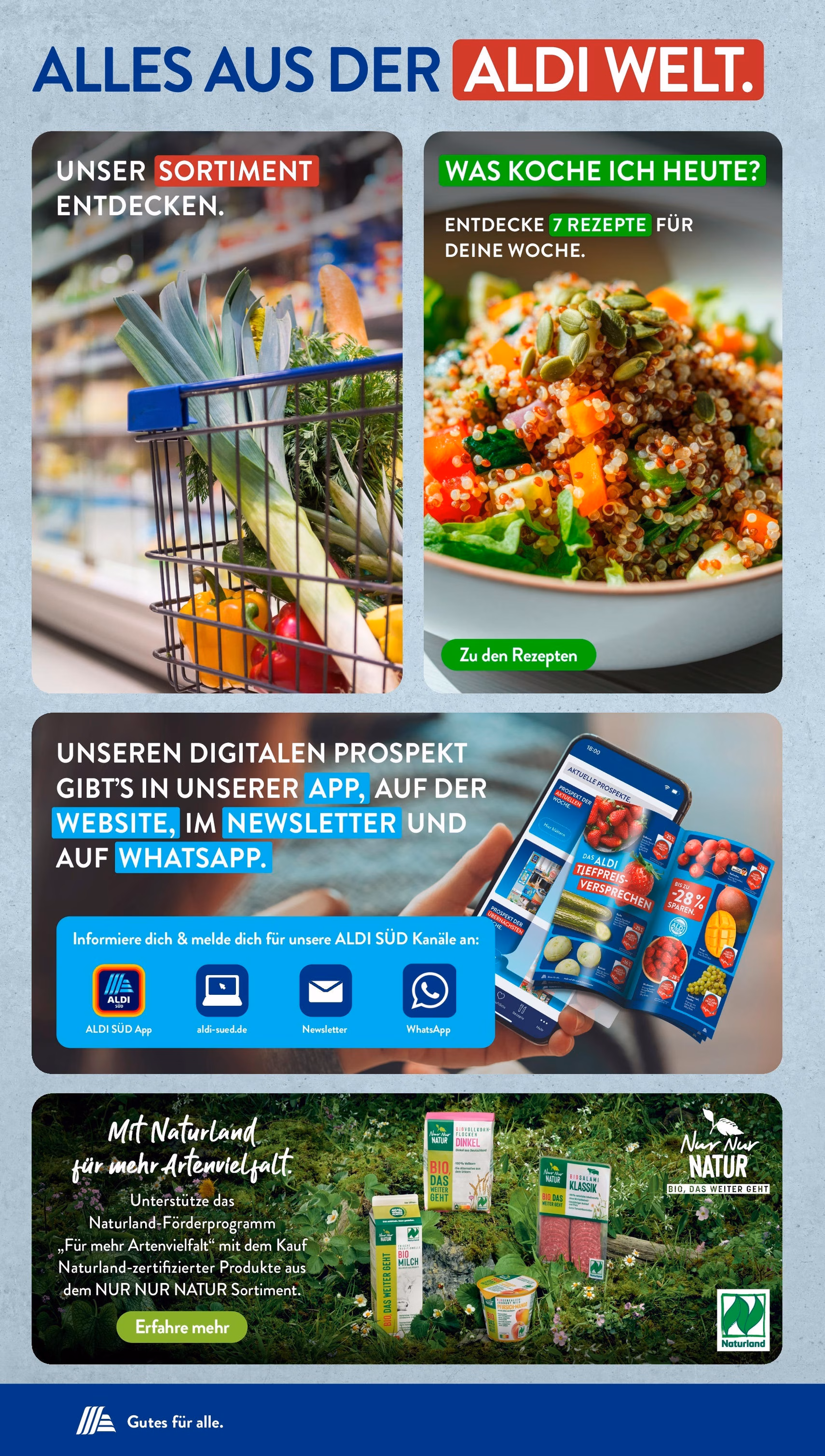 Aldi Süd Prospekt - Gültiger Prospekt ab 01.08.2025, Seite 44 von insgesamt 45 Aldi Süd Prospekt - Gültiger Prospekt ab 01.08.2025, Seite 44 von insgesamt 45