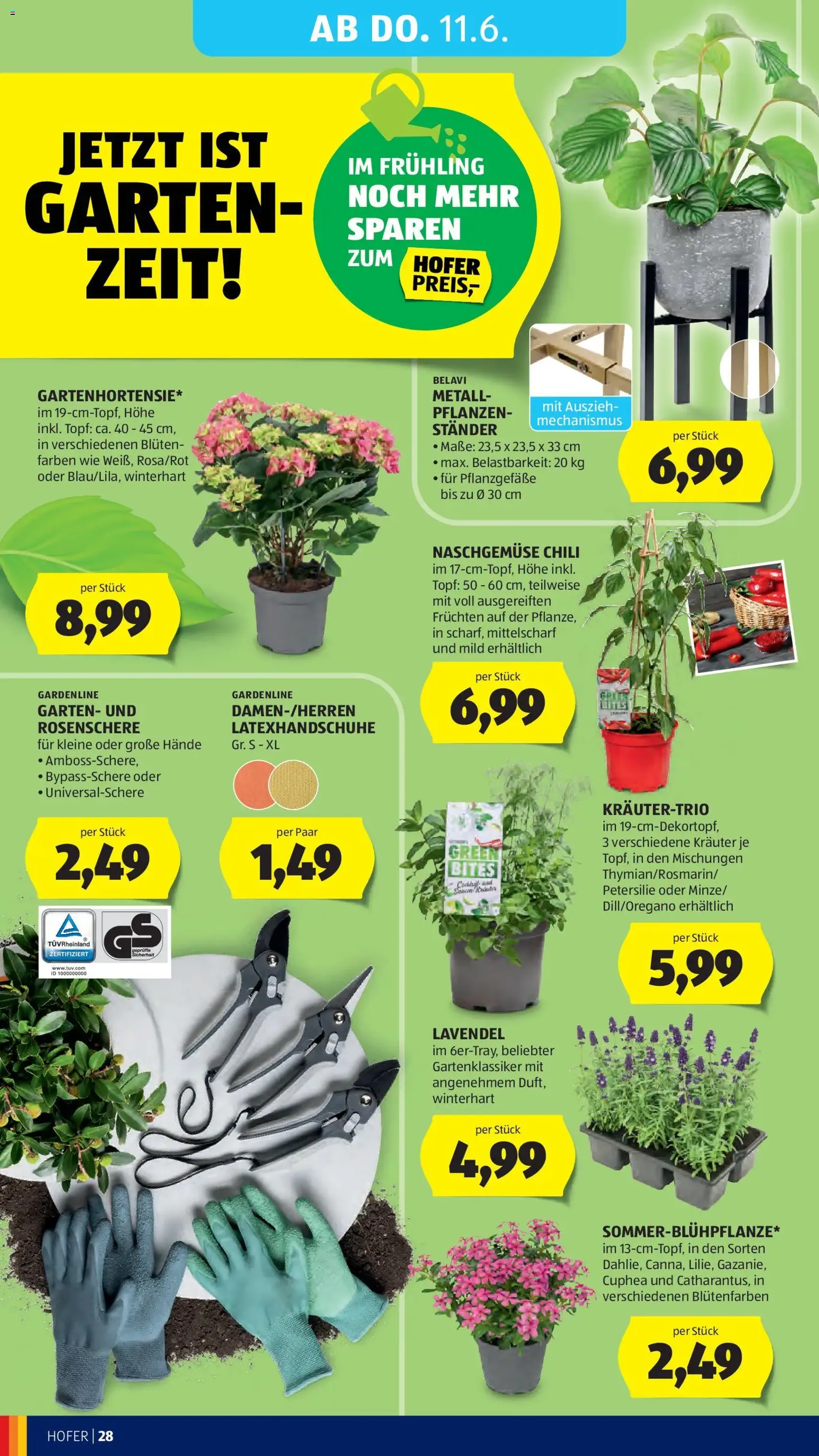 Hofer Flugblatt - Gültiger Prospekt ab 03.06.2026, Seite 32 von insgesamt 42