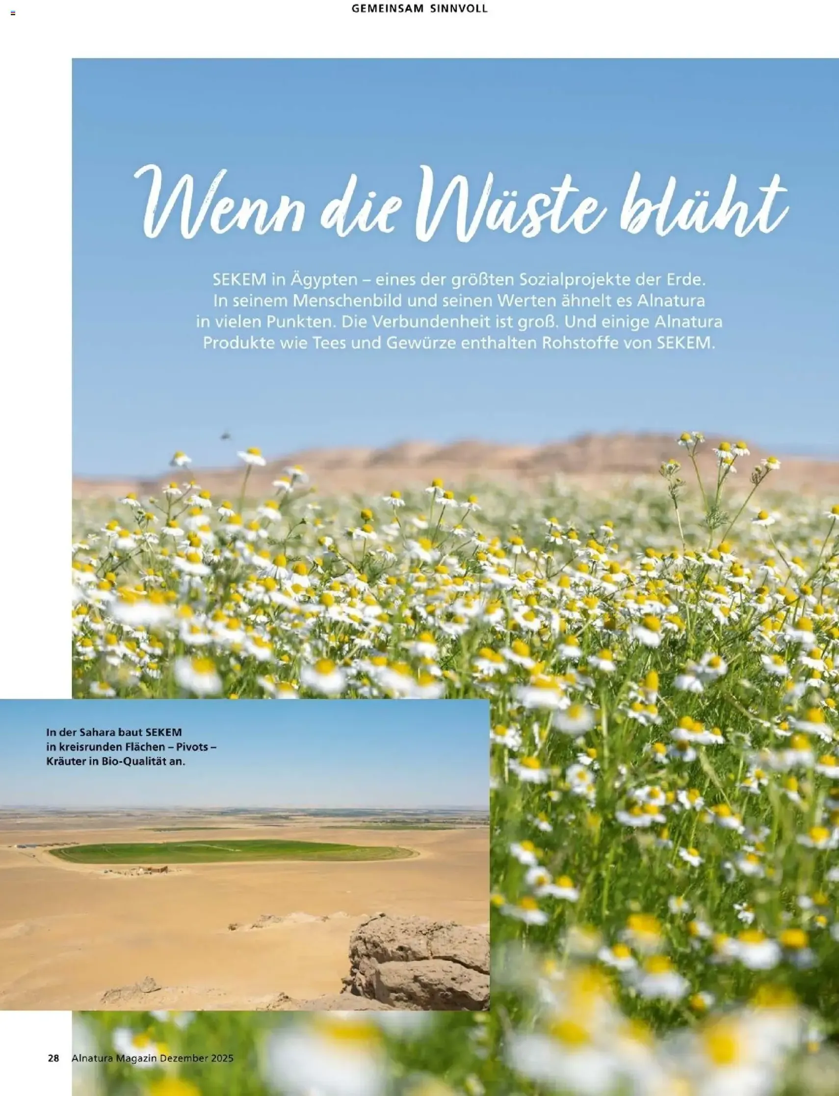 Alnatura Prospekt - Gültiger Prospekt ab 01.12.2025, Seite 28 von insgesamt 64