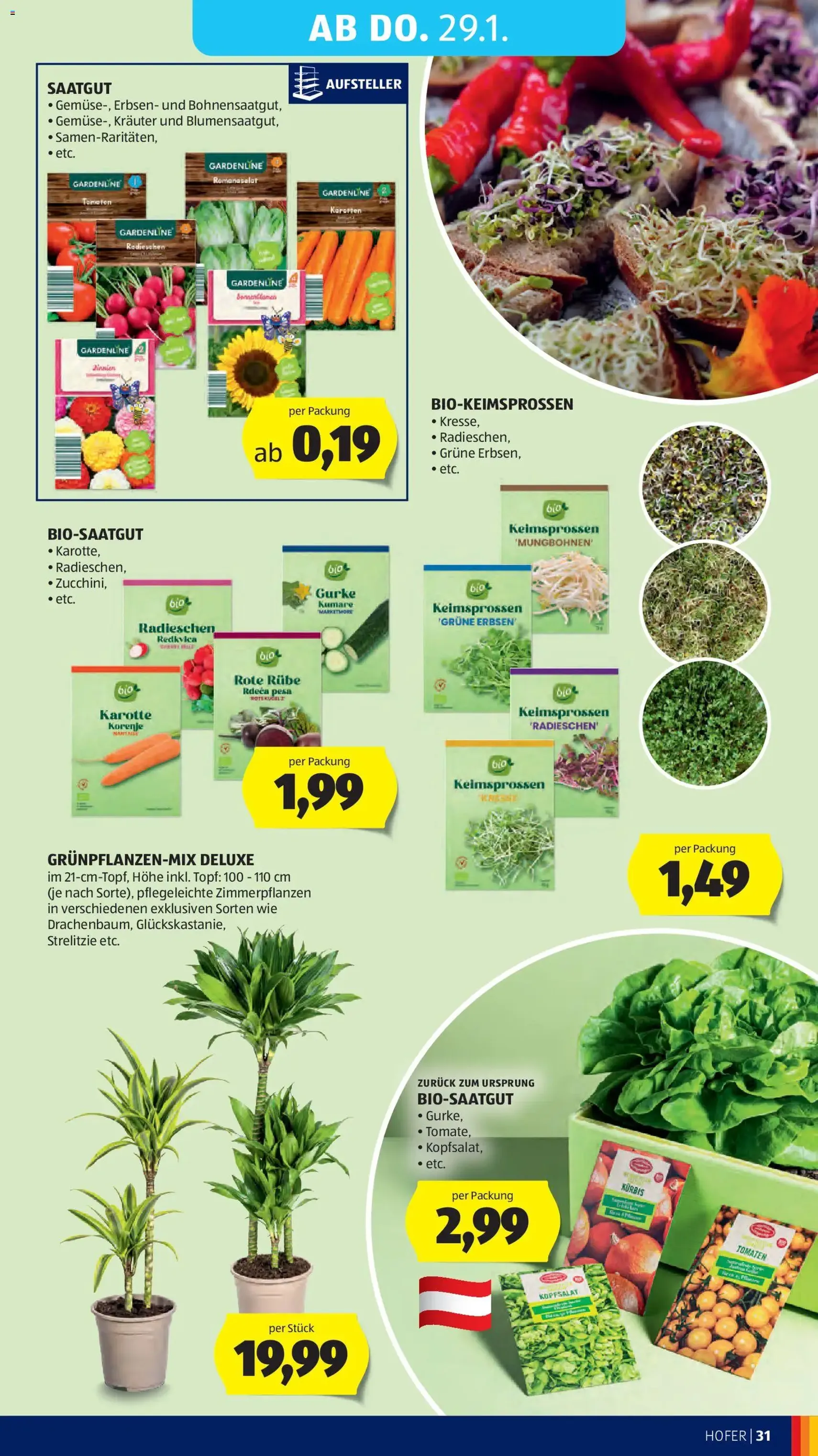 Hofer Flugblatt - Gültiger Prospekt ab 23.01.2026, Seite 35 von insgesamt 45