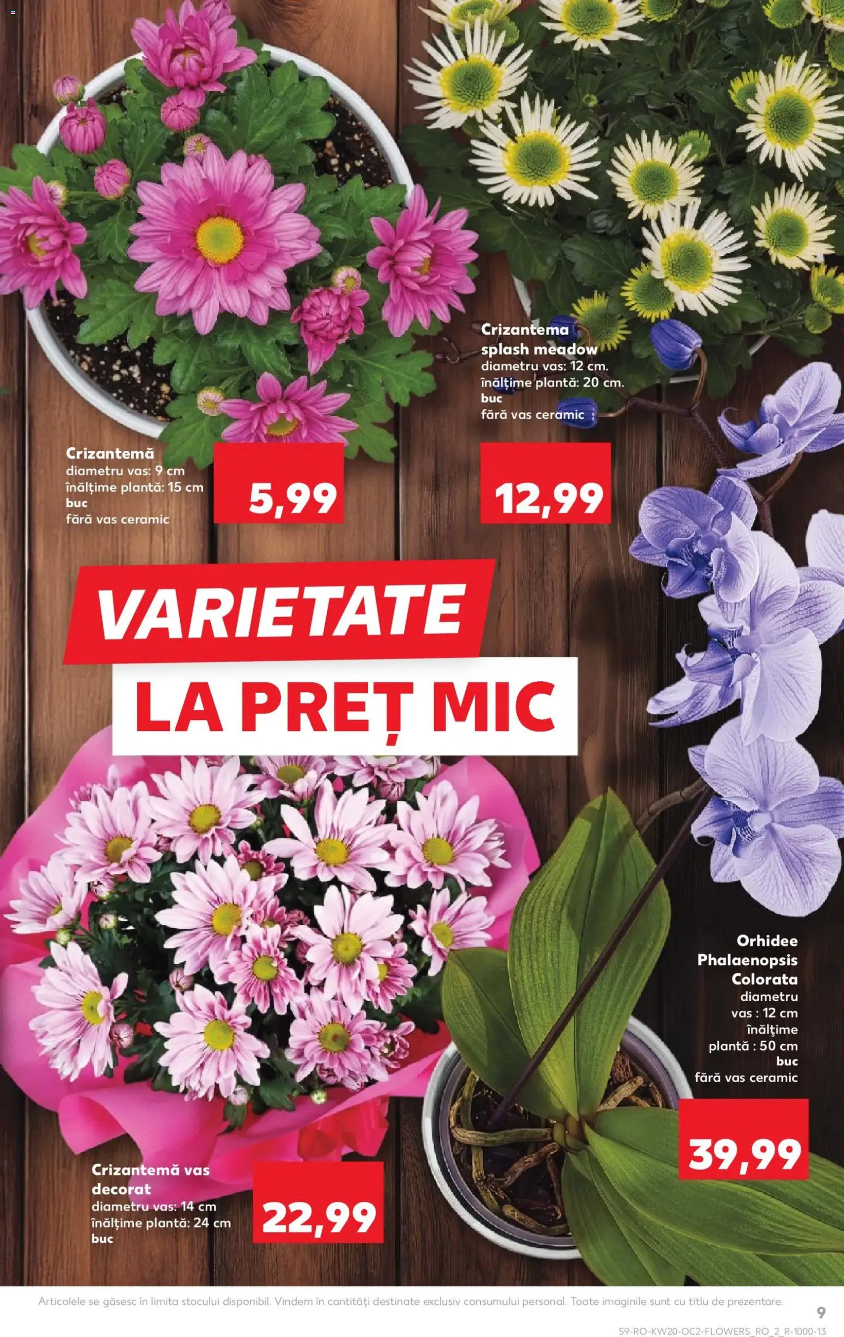 Kaufland Catalog - cataloage valabile începând cu 13.05.2026 pagina 9 din 64
