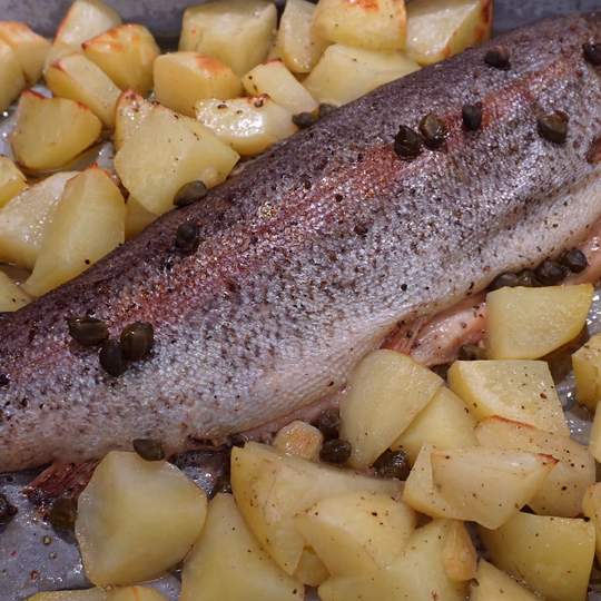 Anteprima ricetta Trota salmonata