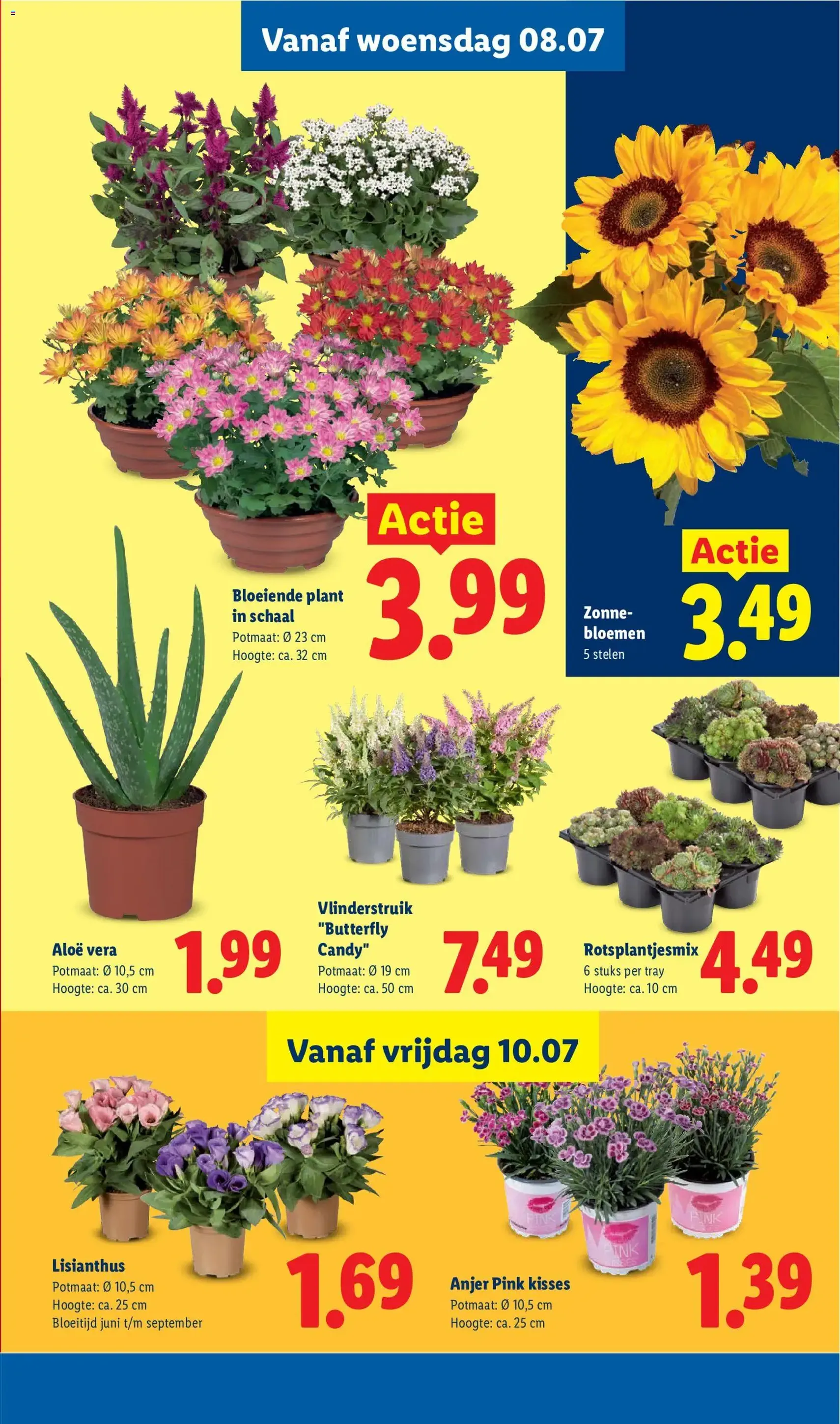Lidl folder week 28 - geldige folder vanaf 06-07-2026 pagina 20 van 48