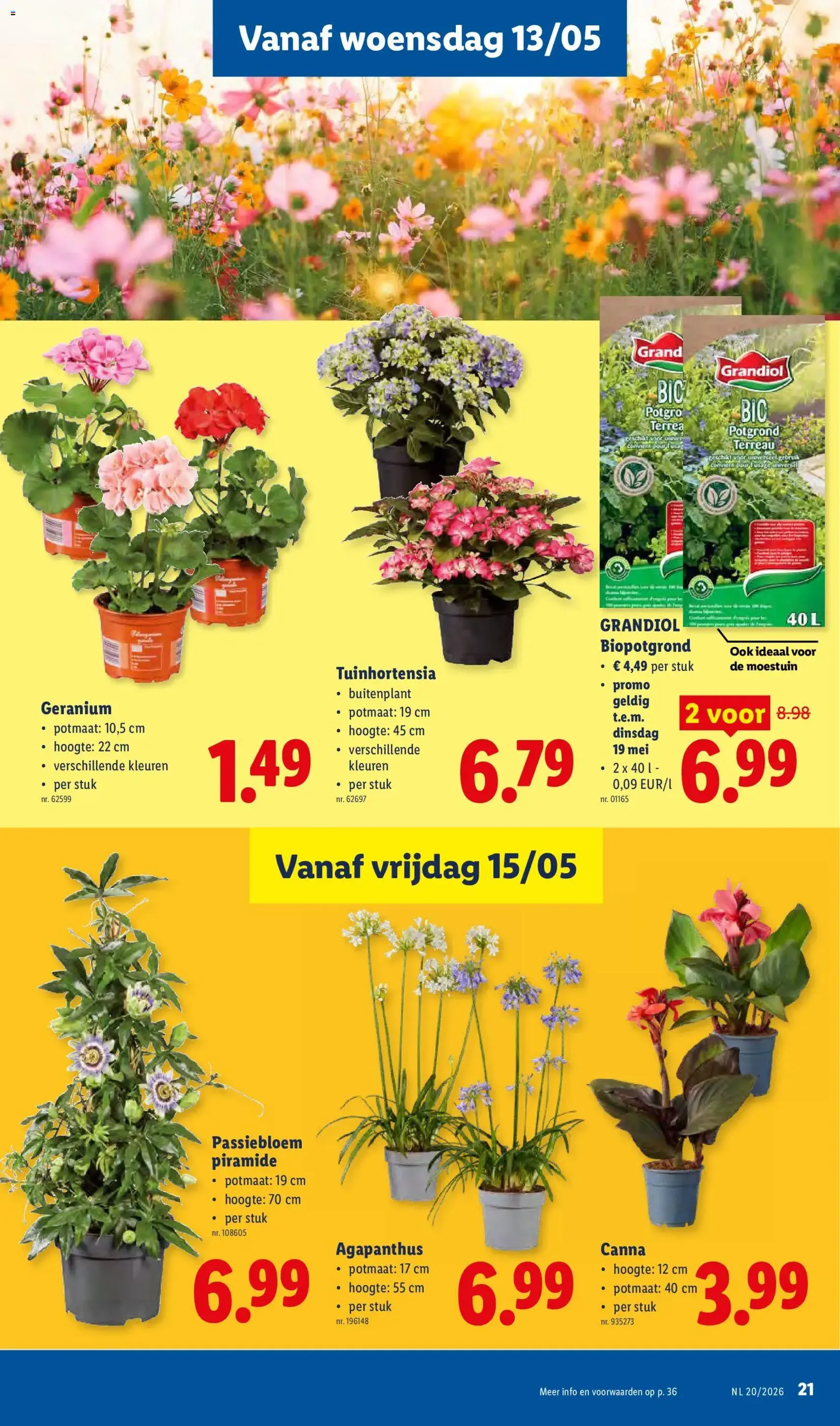 Lidl Folder week 20 - geldige folder vanaf 11/05/2026 pagina 21 van 36