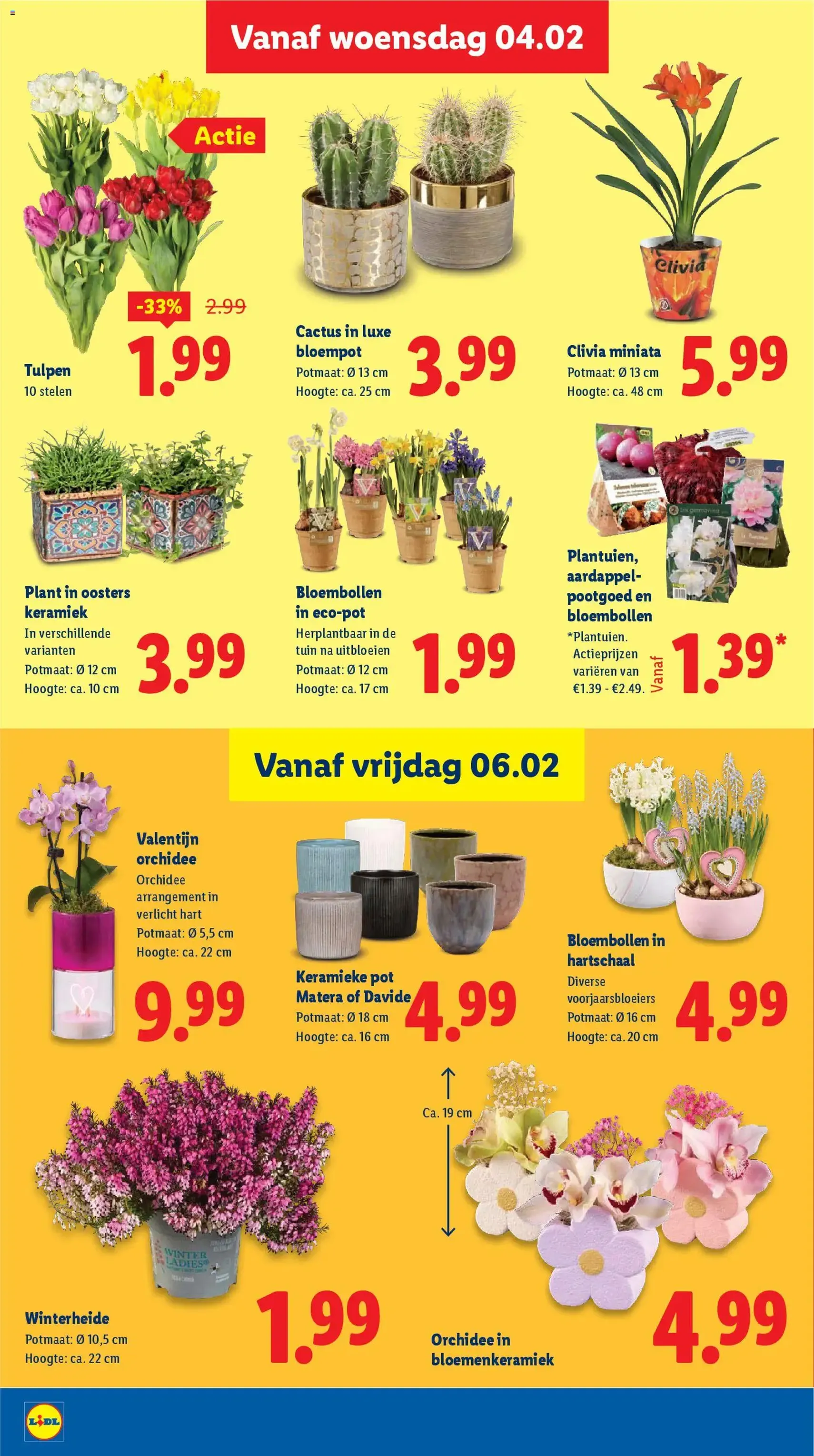 Lidl - Folder week 6 - geldige folder vanaf 02-02-2026 pagina 17 van 46