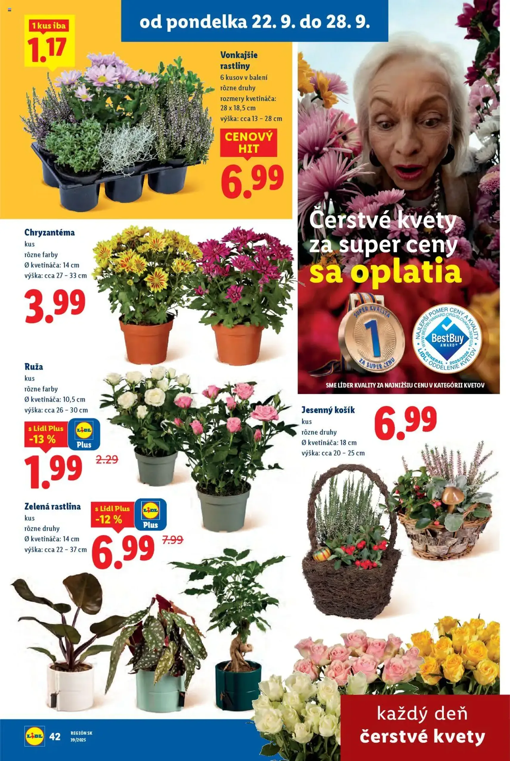 Lidl leták - platný leták od 22.09.2025 strana 48 z 99 Lidl leták - platný leták od 22.09.2025 strana 48 z 99
