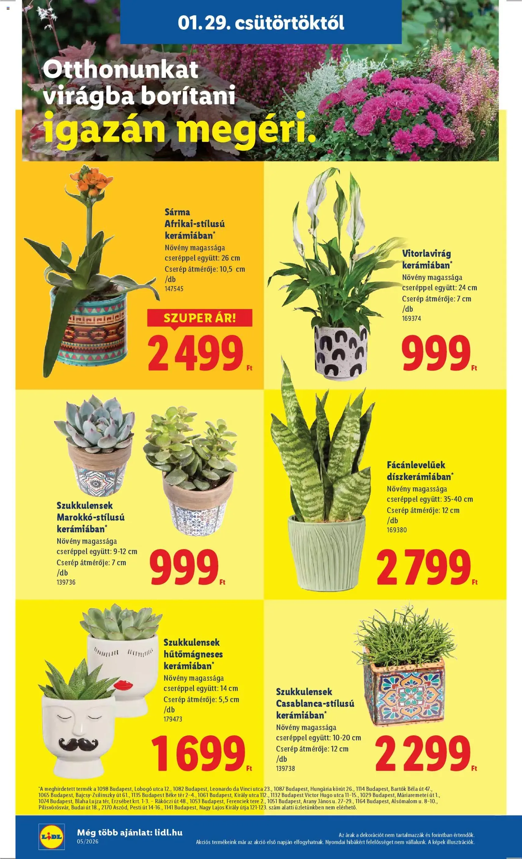 Lidl Akciós újság - 2026.01.29. érvényes szórólap 20 oldal 54 oldalból