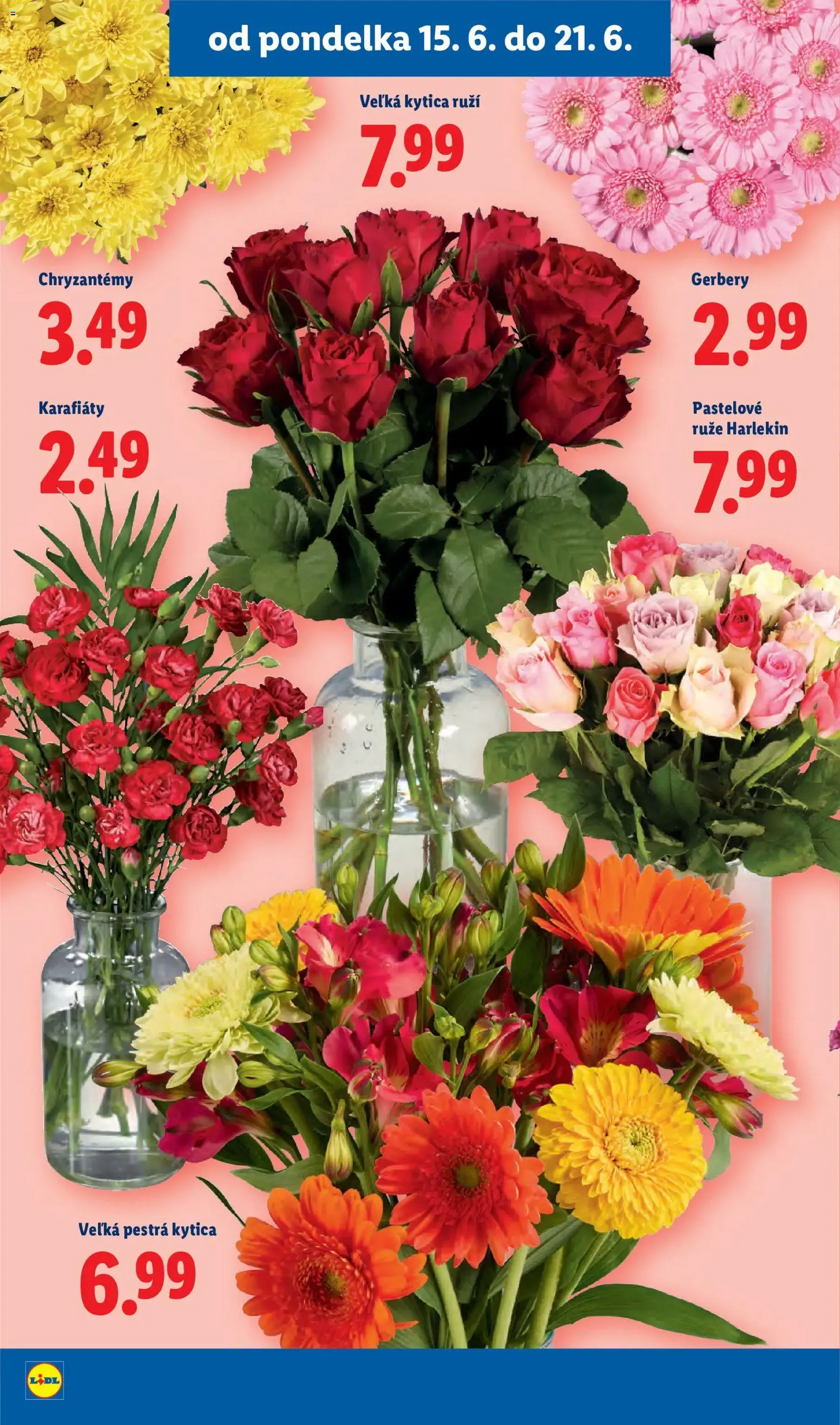 Lidl leták - platný leták od 15.06.2026 strana 44 z 101