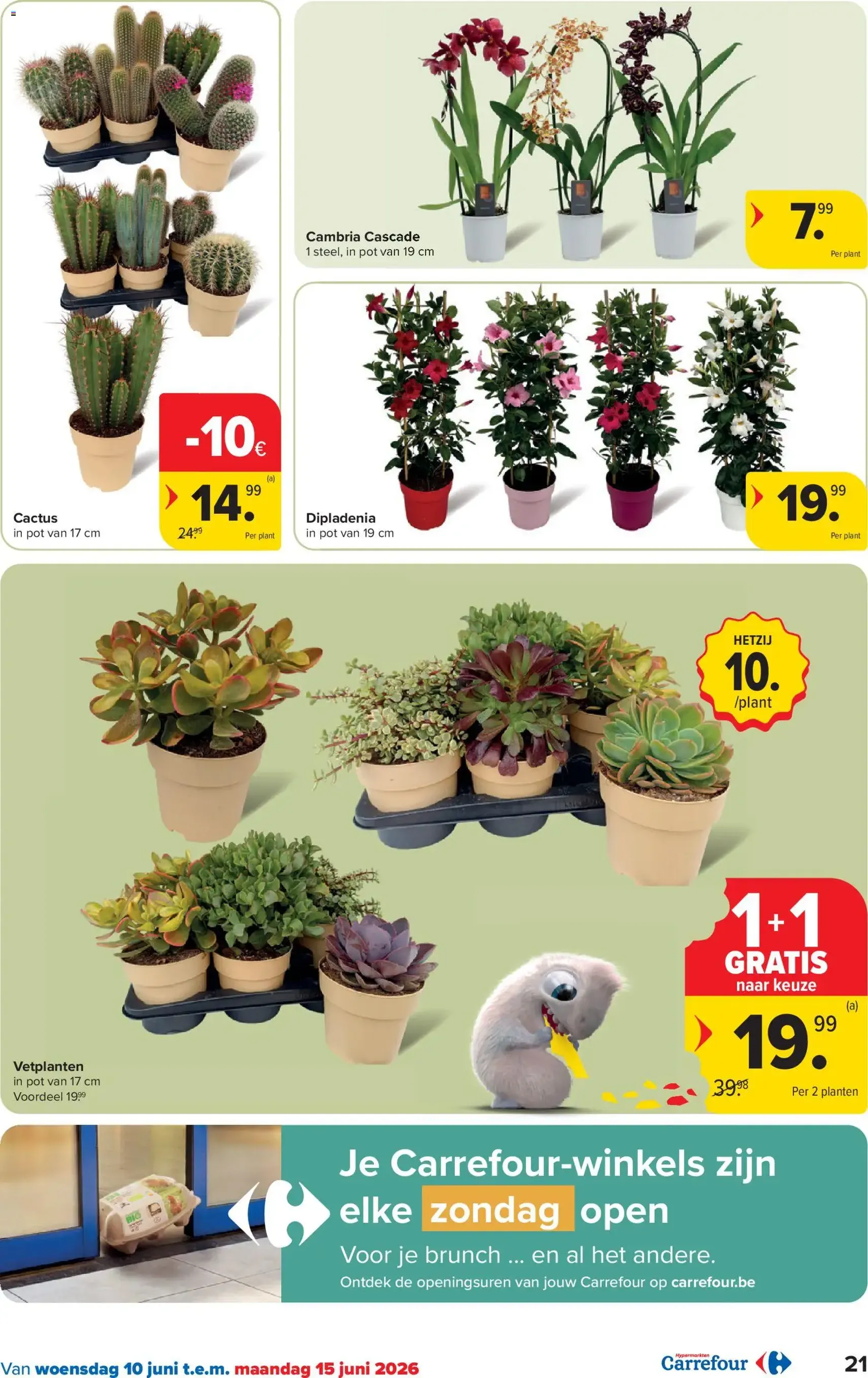 Carrefour folder week 24 - geldige folder vanaf 10/06/2026 pagina 21 van 48