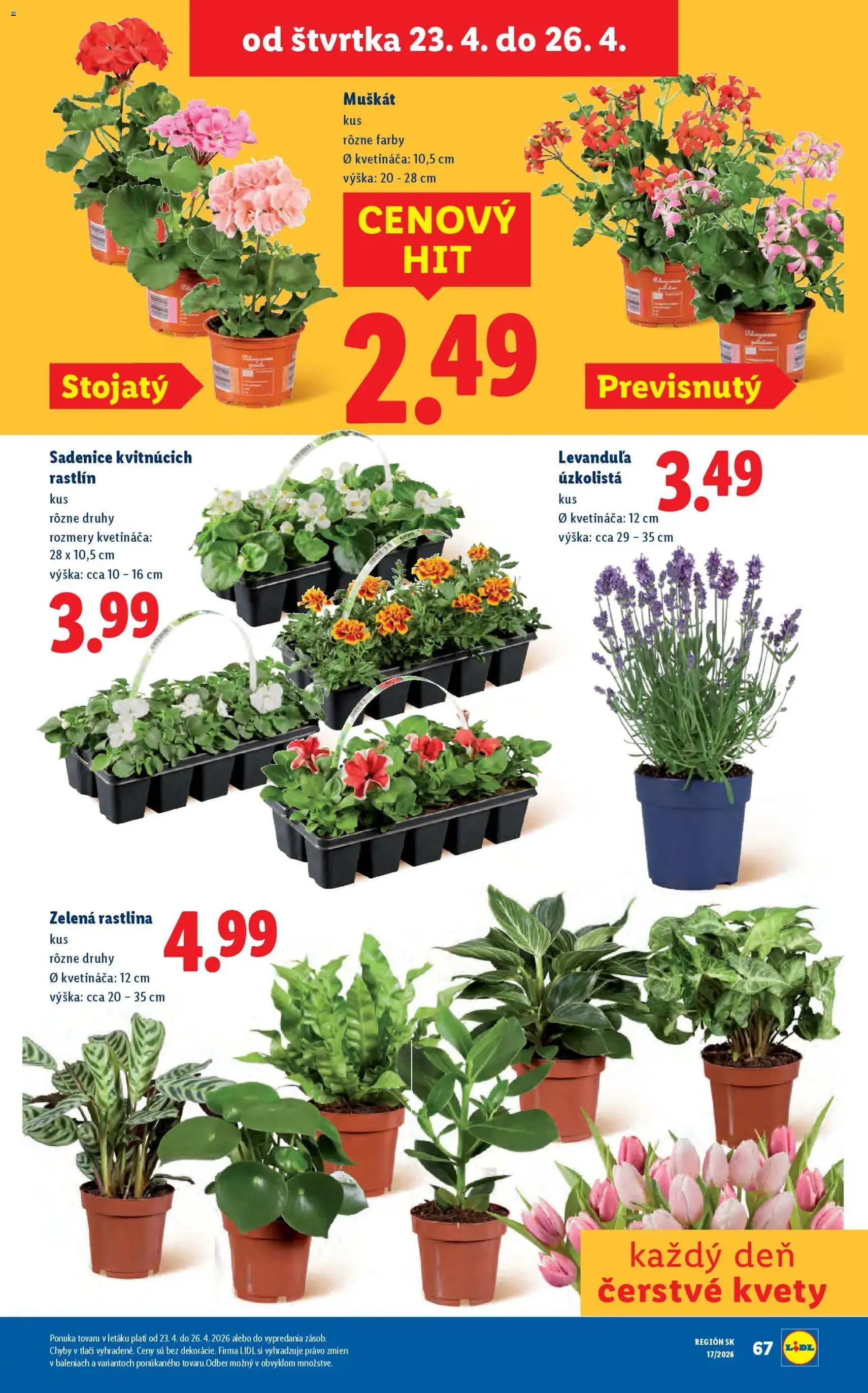 Lidl leták - platný leták od 20.04.2026 strana 80 z 99