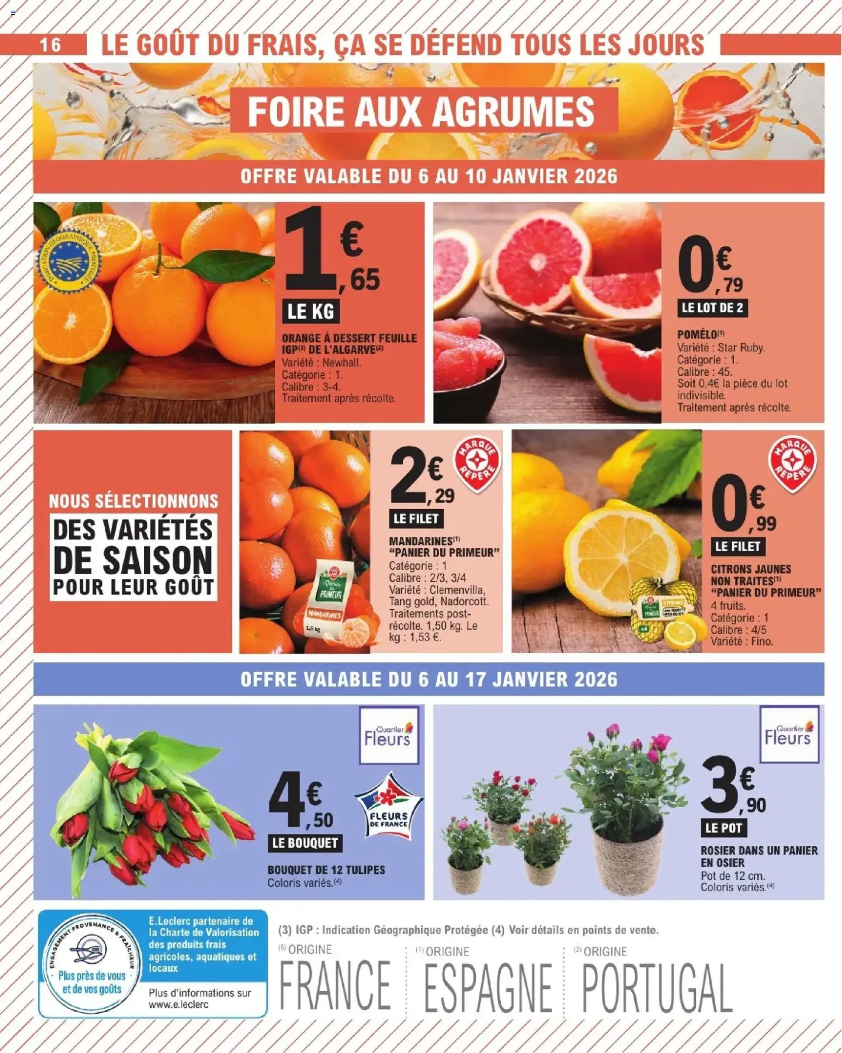 E.Leclerc catalogue semaine 2 - brochure valable à partir du 06/01/2026, page 16 sur 56
