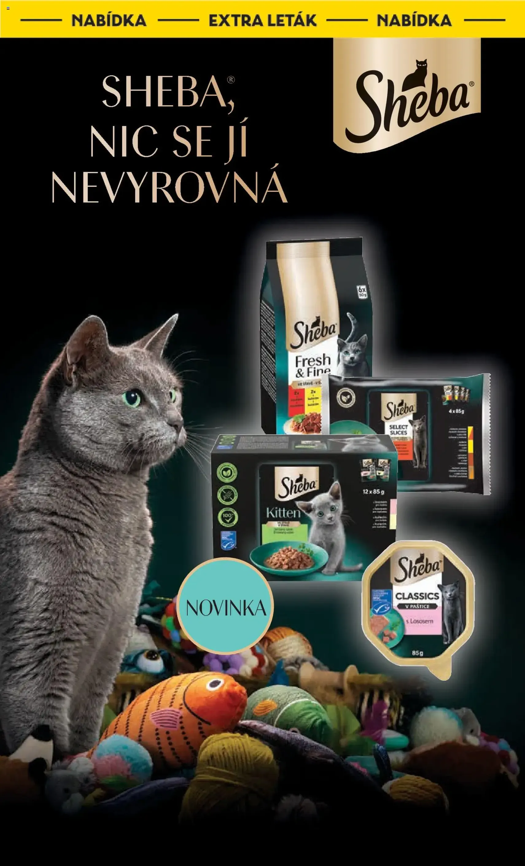 Albert leták - Hypermarket - platný leták od 10.12.2025 strana 8 z 60