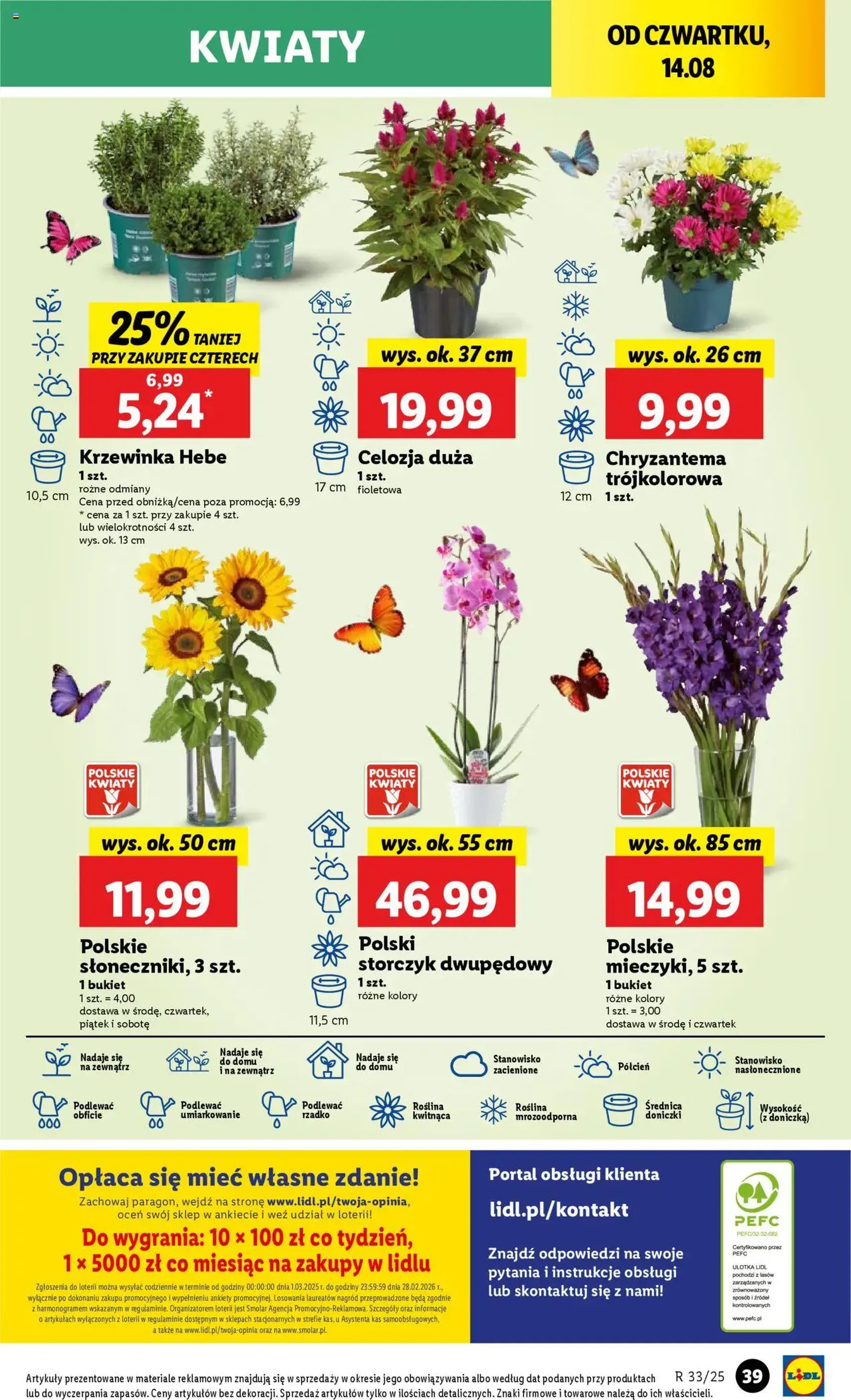 Lidl Gazetka - ważny gazetka od 13.08.2025 strona 41 z 48