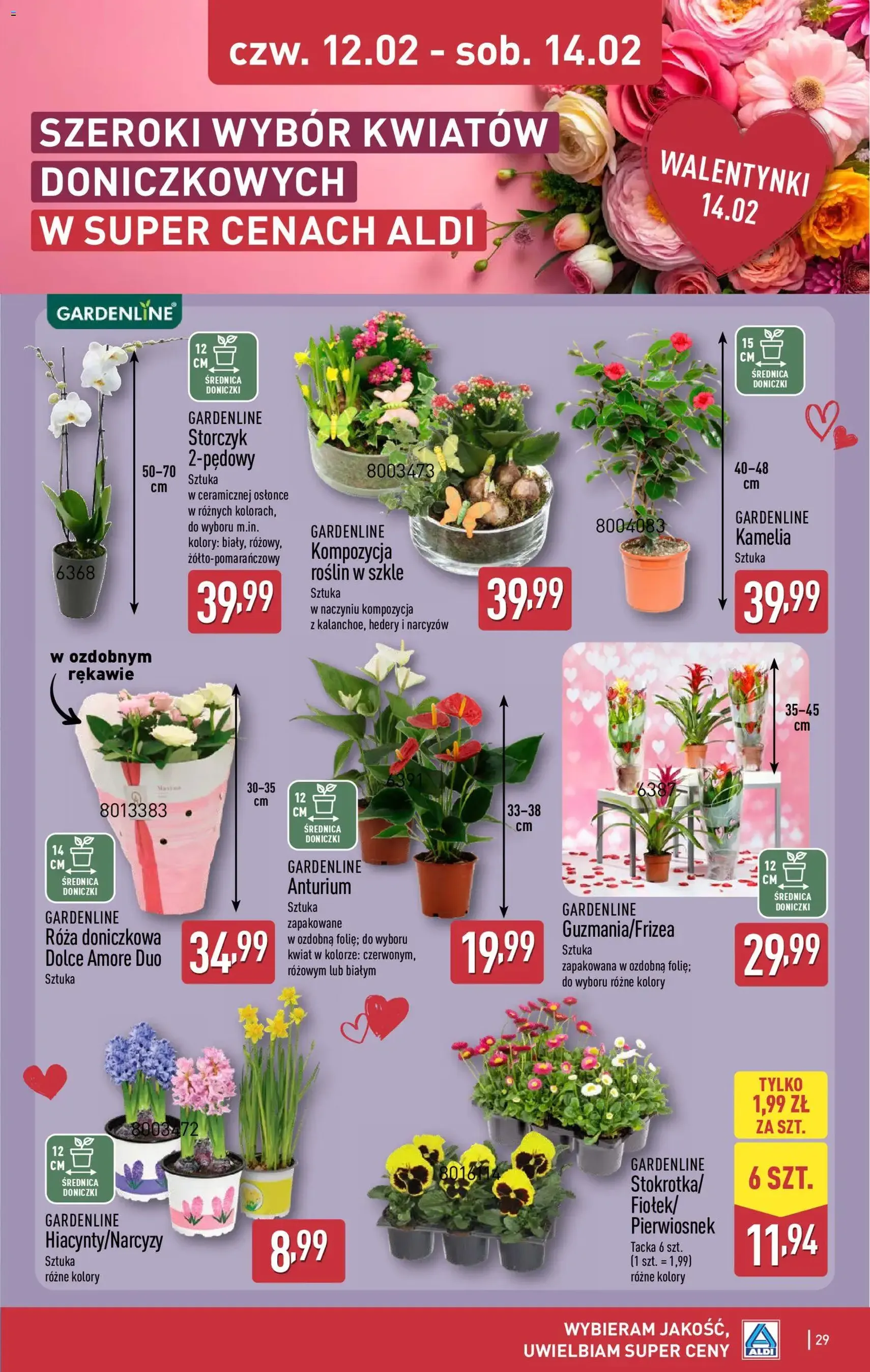 Aldi Gazetka - ważny gazetka od 09.02.2026 strona 29 z 39