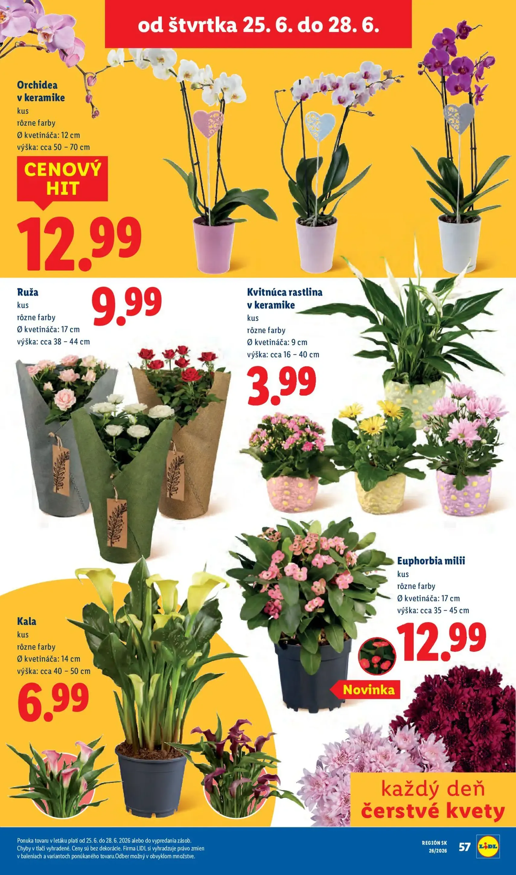 Lidl leták - platný leták od 22.06.2026 strana 78 z 99
