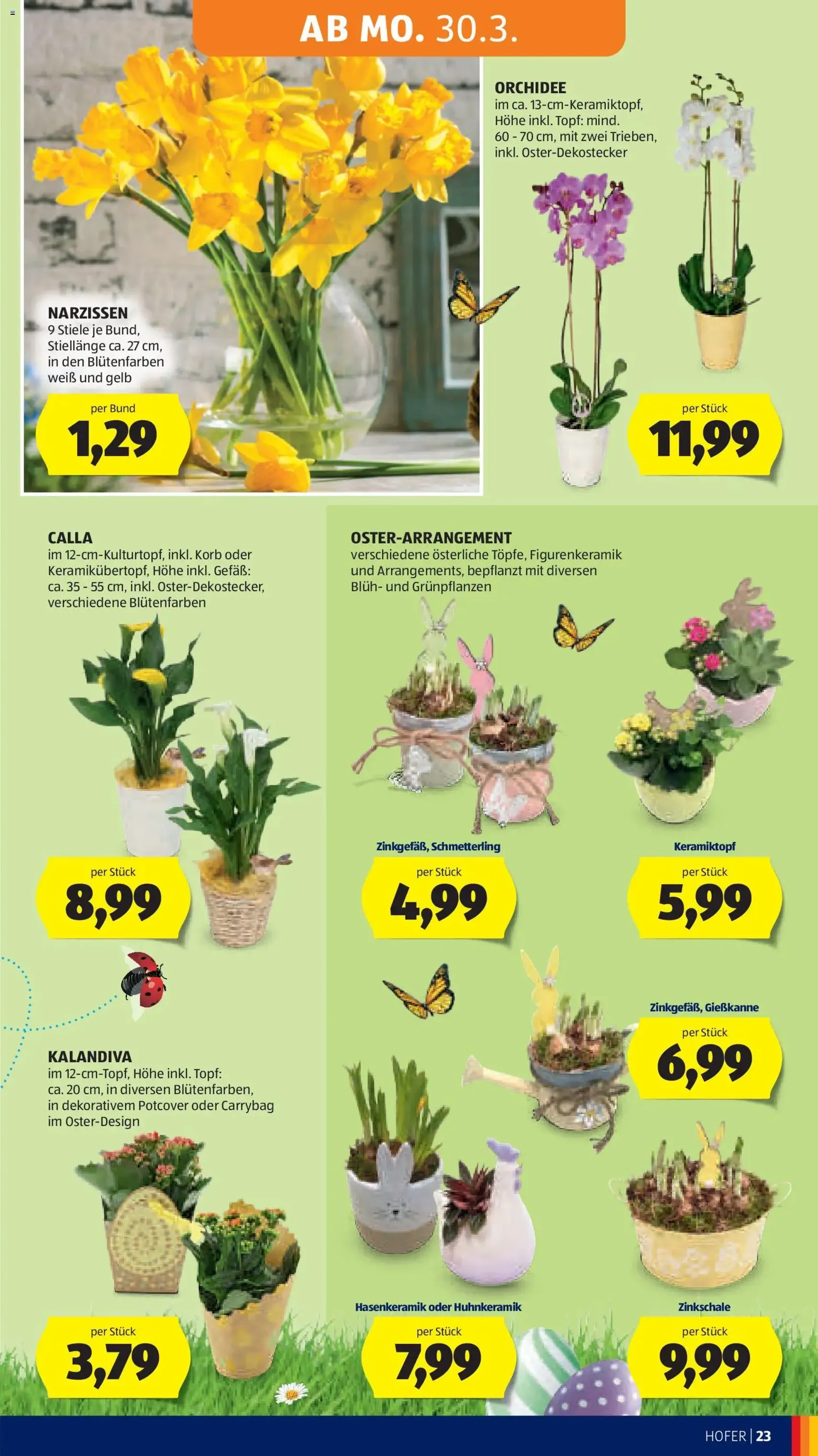 Hofer Flugblatt - Gültiger Prospekt ab 27.03.2026, Seite 29 von insgesamt 46