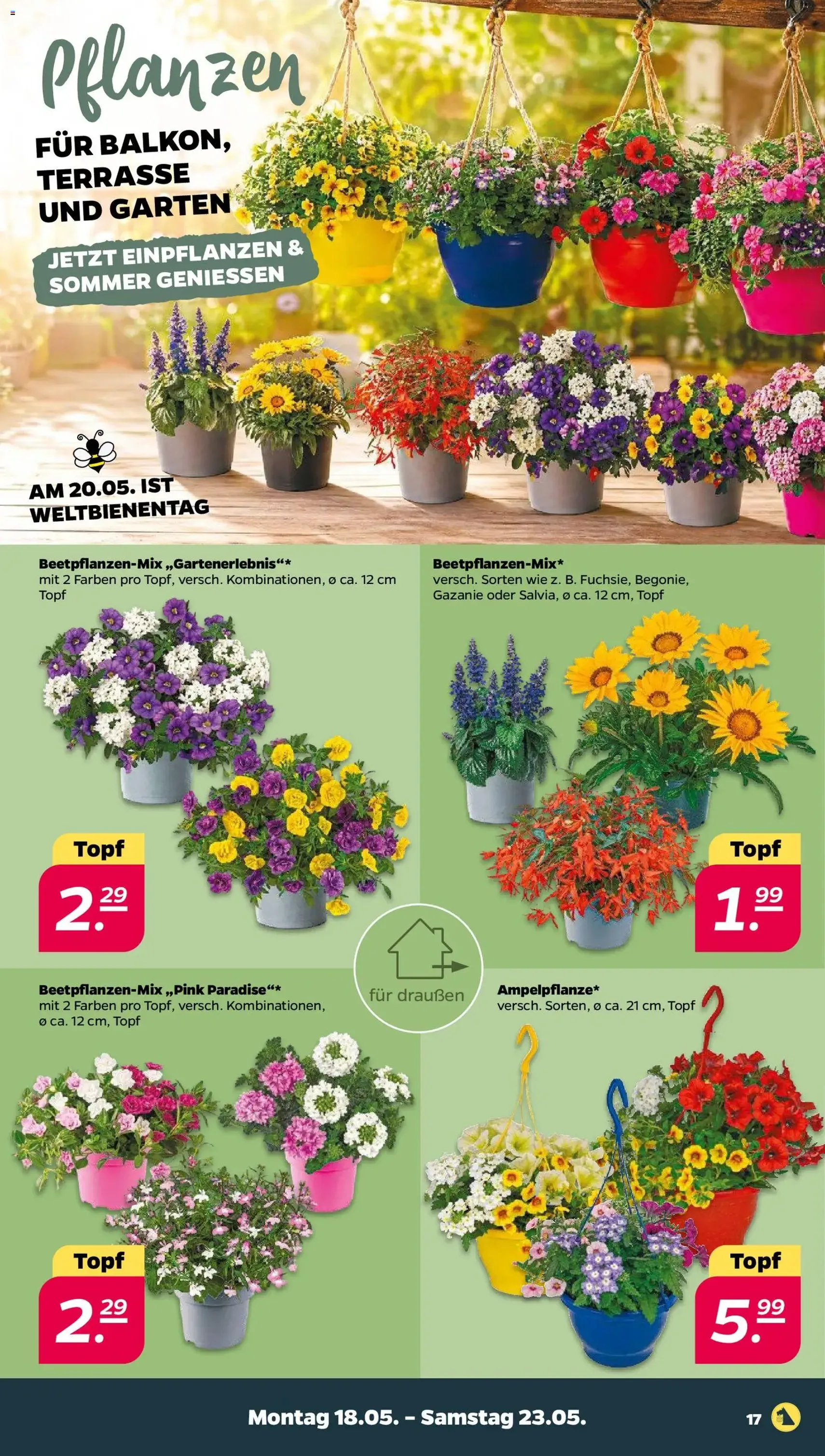Netto Prospekt - Gültiger Prospekt ab 18.05.2026, Seite 19 von insgesamt 37