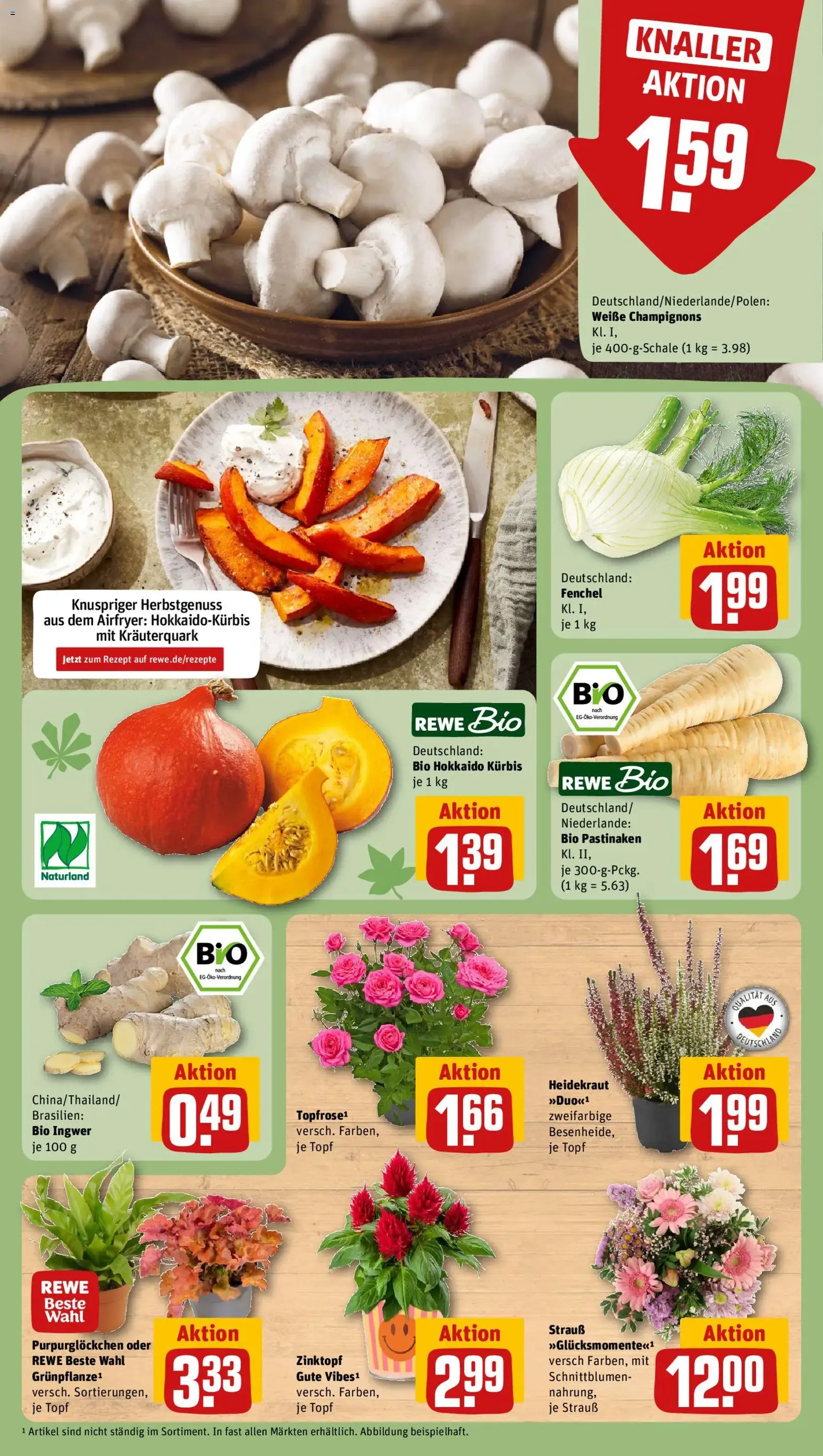 Rewe Prospekt - Gültiger Prospekt ab 28.09.2026, Seite 11 von insgesamt 20