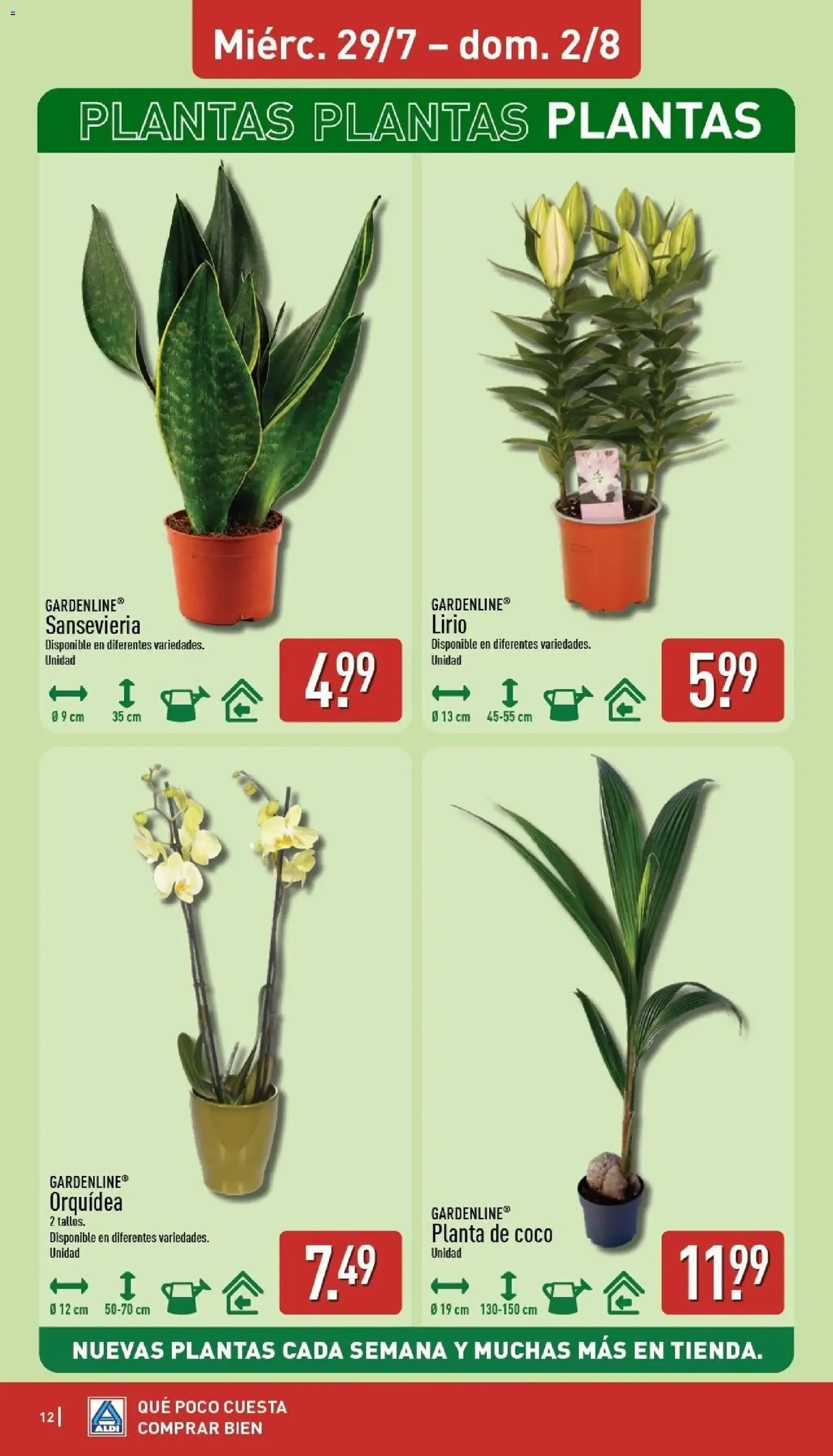 Aldi folleto Península - folleto válido desde 27/07/2026 página 12 de 26