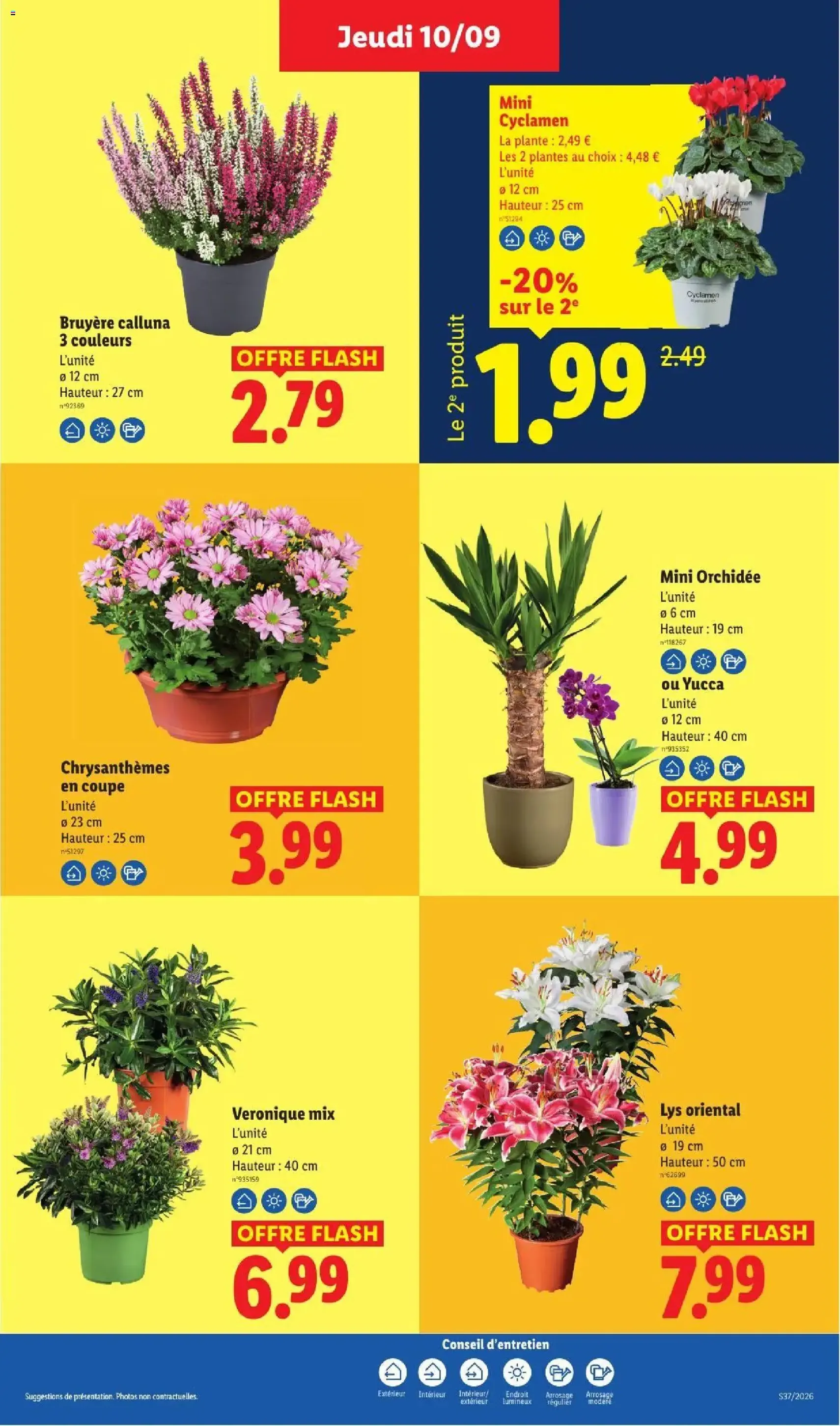 LIDL catalogue - brochure valable à partir du 10/09/2026, page 49 sur 54
