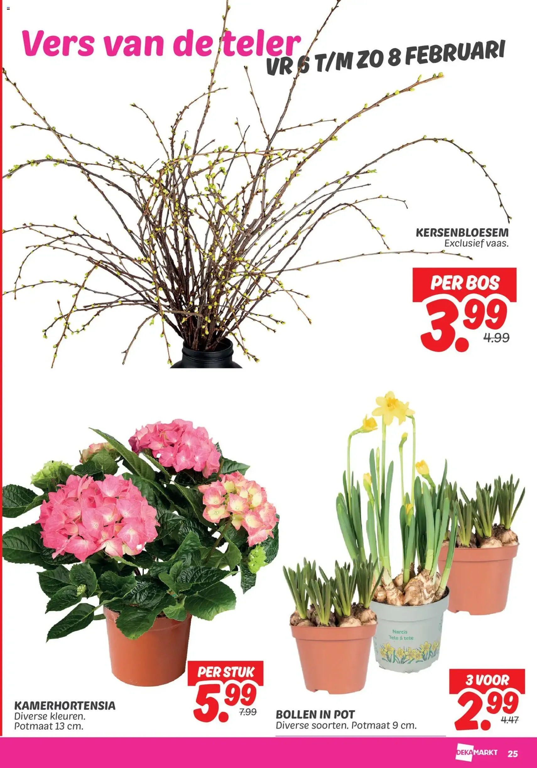 Dekamarkt - Folder - geldige folder vanaf 03-02-2026 pagina 27 van 29