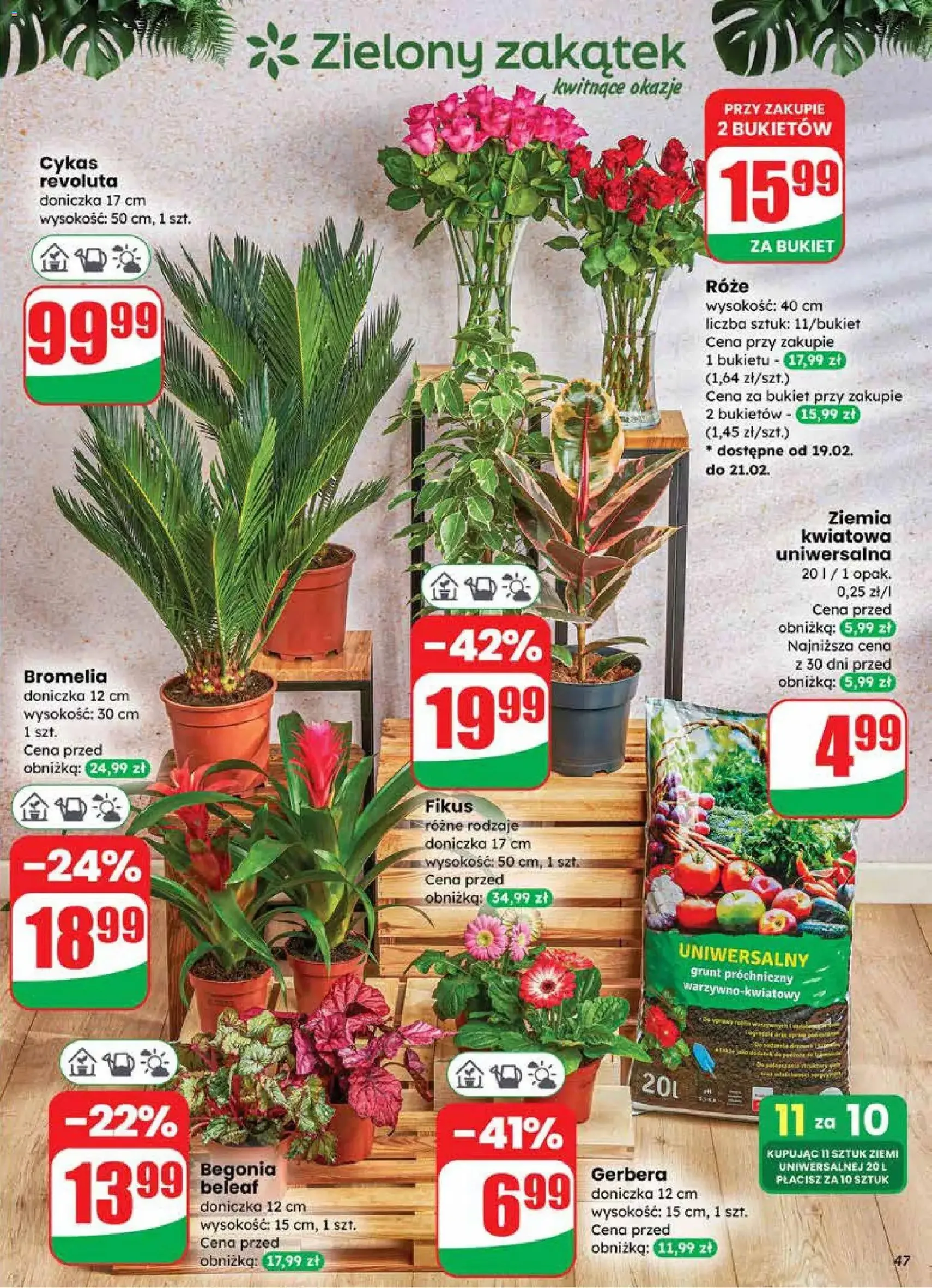 Dino Gazetka - ważny gazetka od 18.02.2026 strona 47 z 63