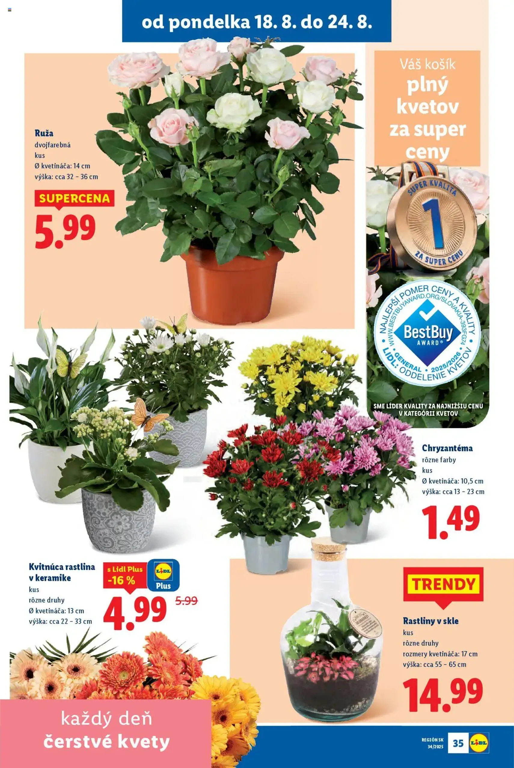 Lidl leták - platný leták od 18.08.2025 strana 41 z 97 Lidl leták - platný leták od 18.08.2025 strana 41 z 97