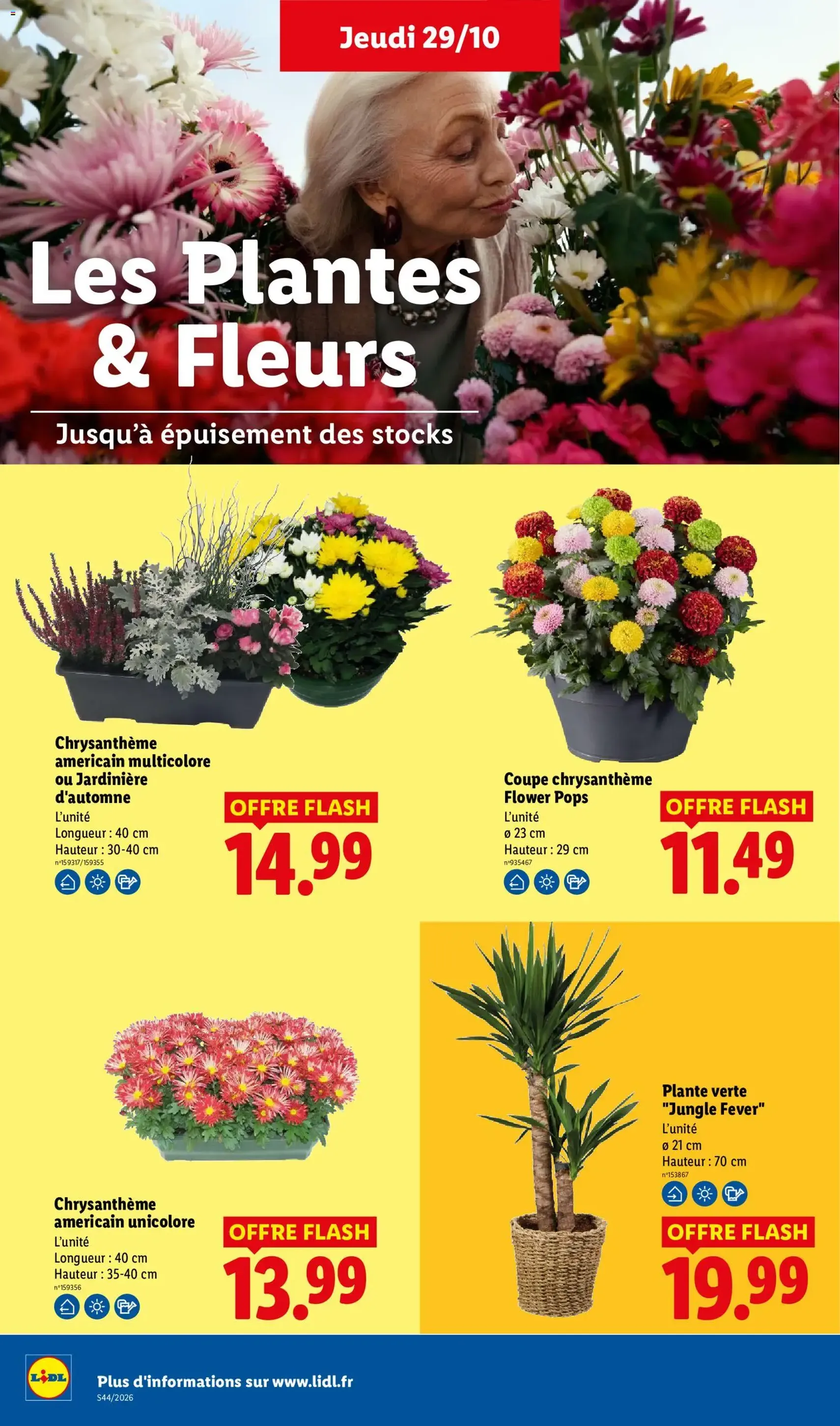 LIDL catalogue - brochure valable à partir du 29/10/2026, page 32 sur 64
