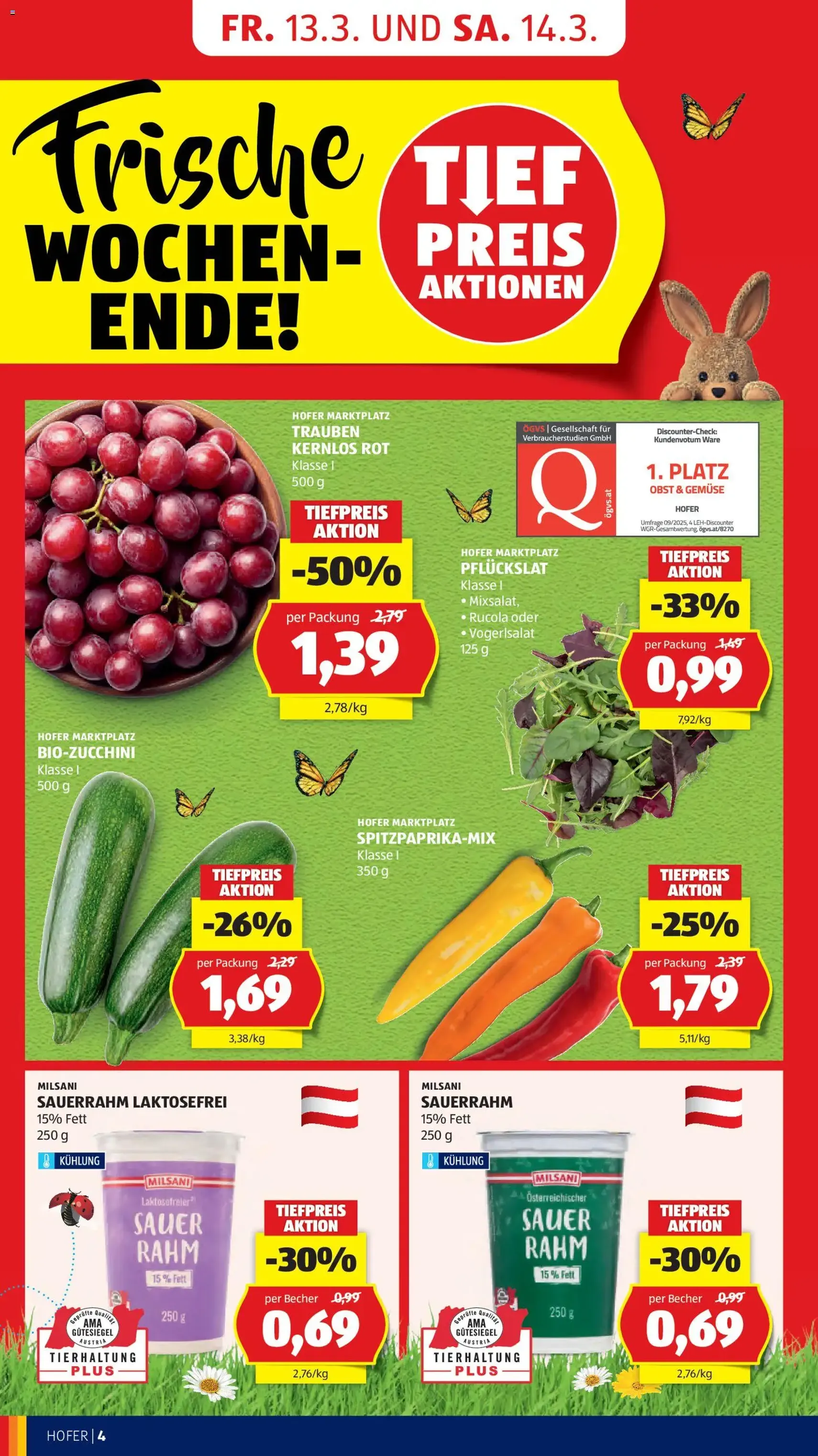 Hofer Flugblatt - Gültiger Prospekt ab 11.03.2026, Seite 6 von insgesamt 48