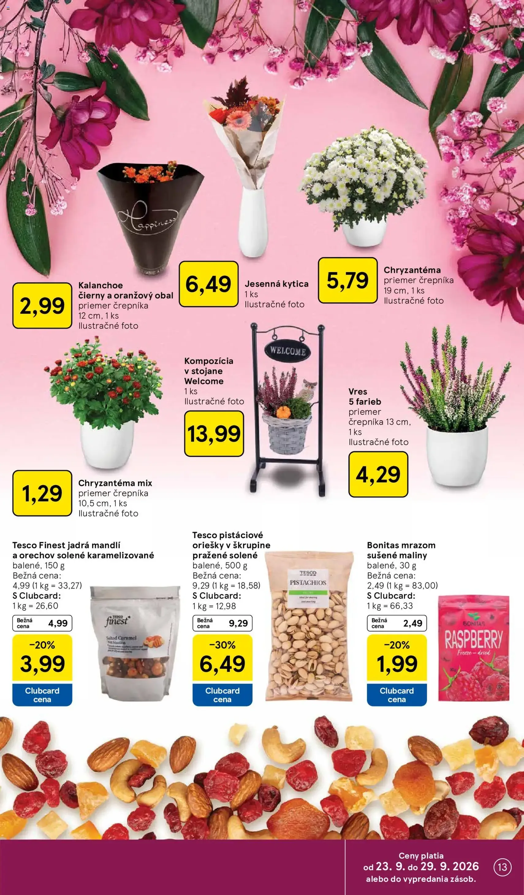 Tesco Hypermarket - leták - platný leták od 23.09.2026 strana 13 z 48