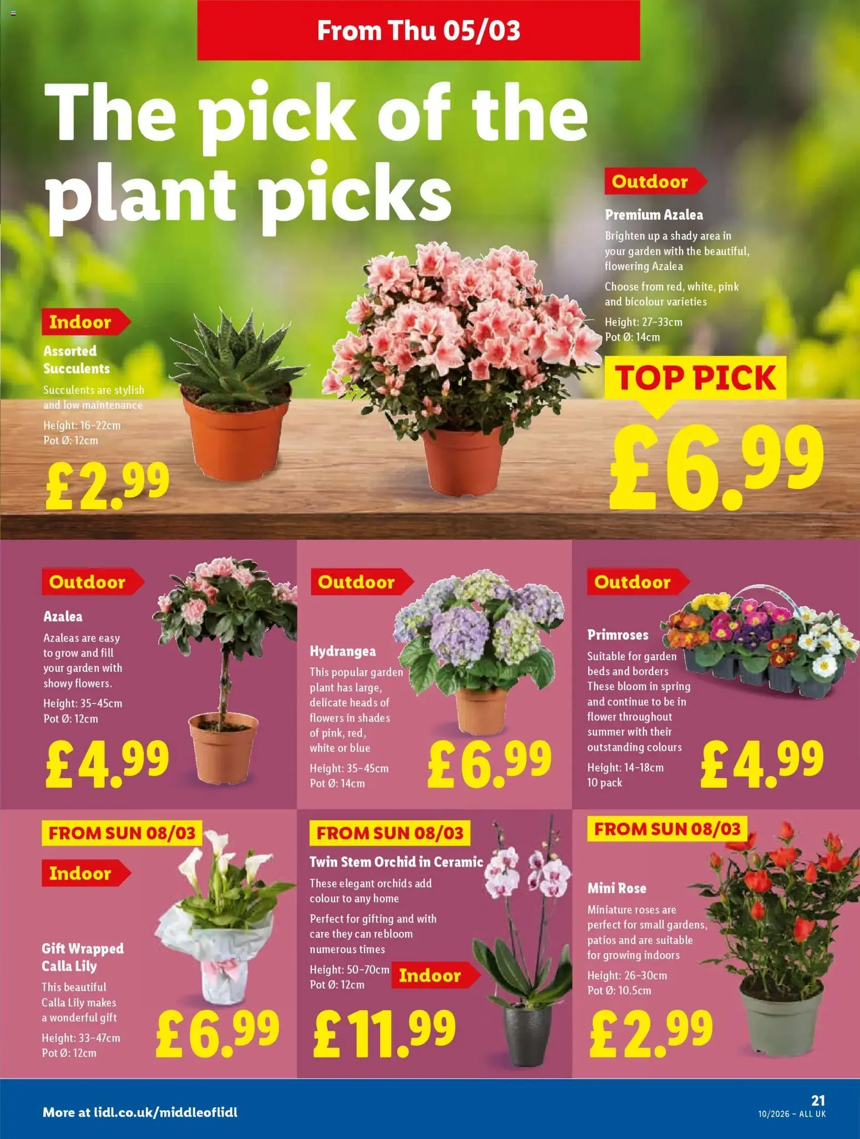 Lidl - Lidl Weekly - valid flyer from 05/03/2026, page 21 of 30