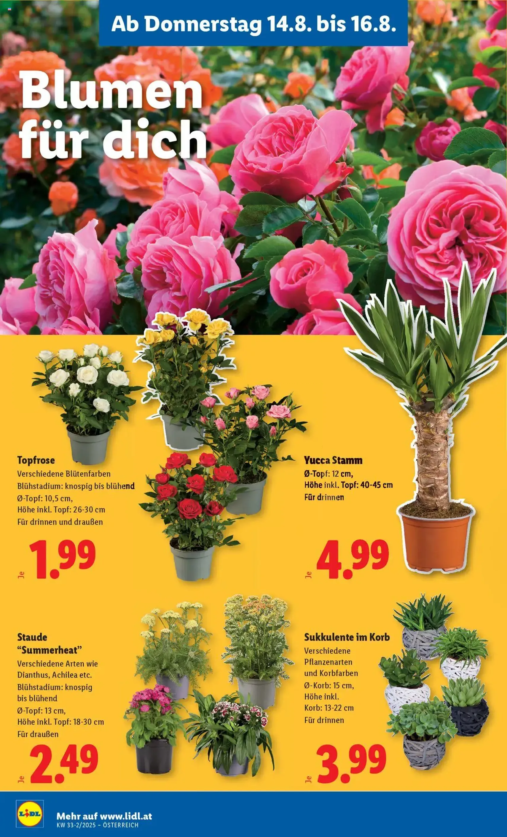 Lidl Flugblatt - Gültiger Prospekt ab 14.08.2025, Seite 24 von insgesamt 42 Lidl Flugblatt - Gültiger Prospekt ab 14.08.2025, Seite 24 von insgesamt 42