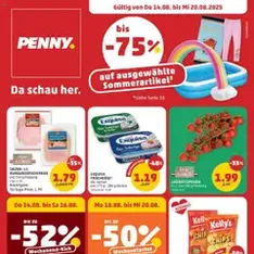 Penny Markt Flugblatt - Prospekt Vorschau gültig ab 14.08.2025