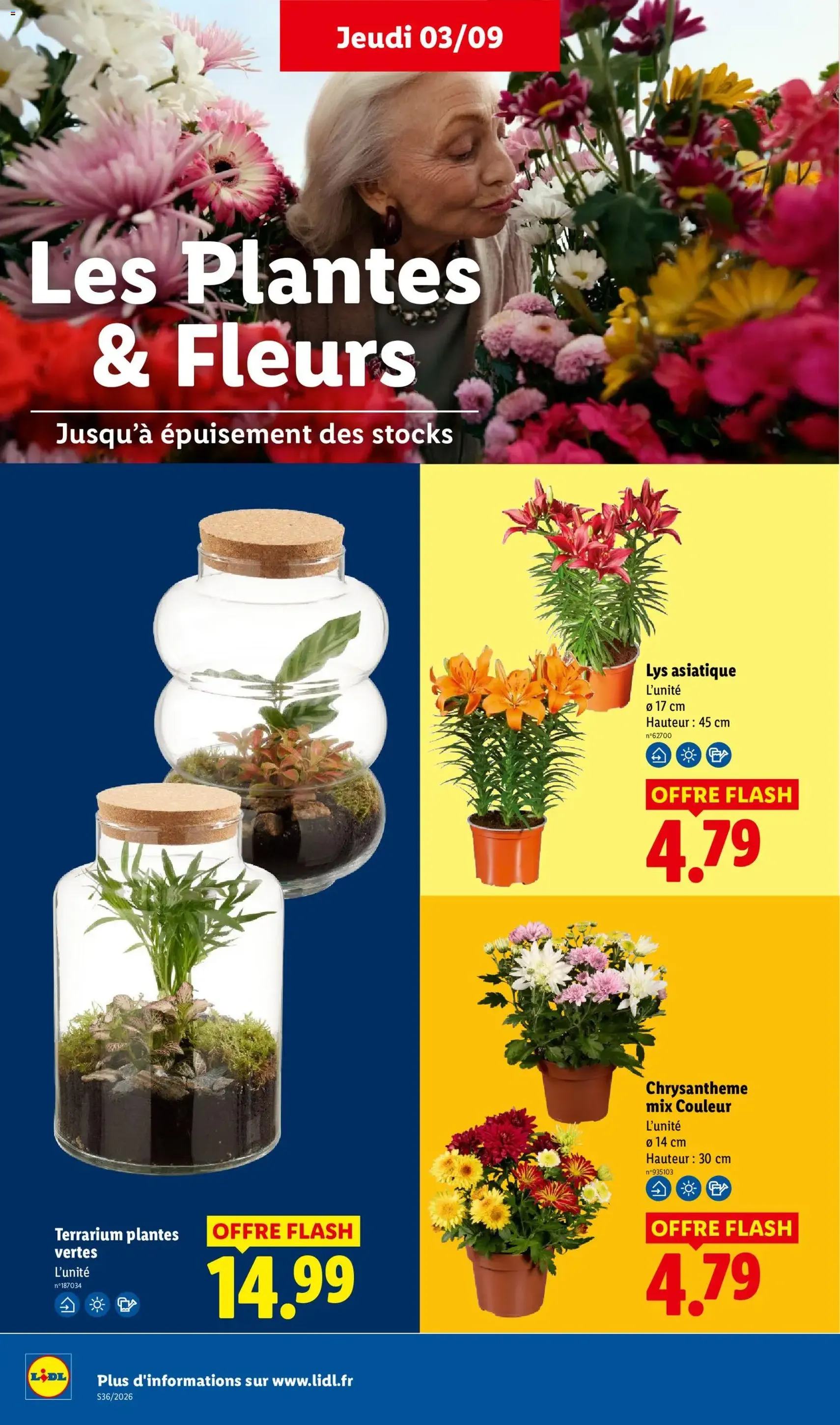 LIDL catalogue - brochure valable à partir du 03/09/2026, page 34 sur 61