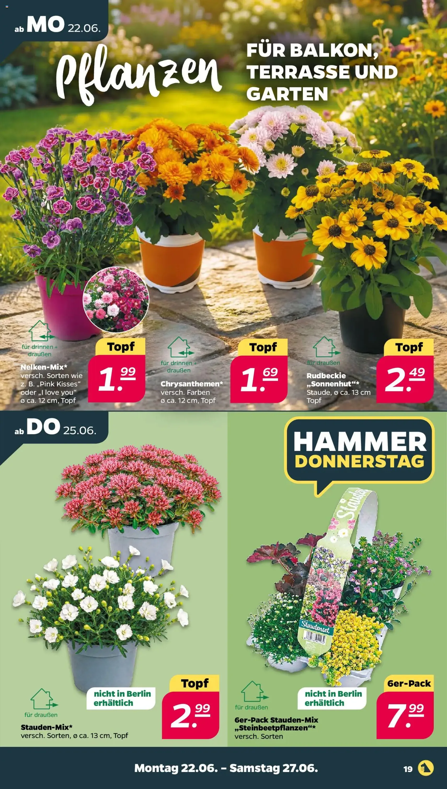 Netto Prospekt - Gültiger Prospekt ab 22.06.2026, Seite 21 von insgesamt 37