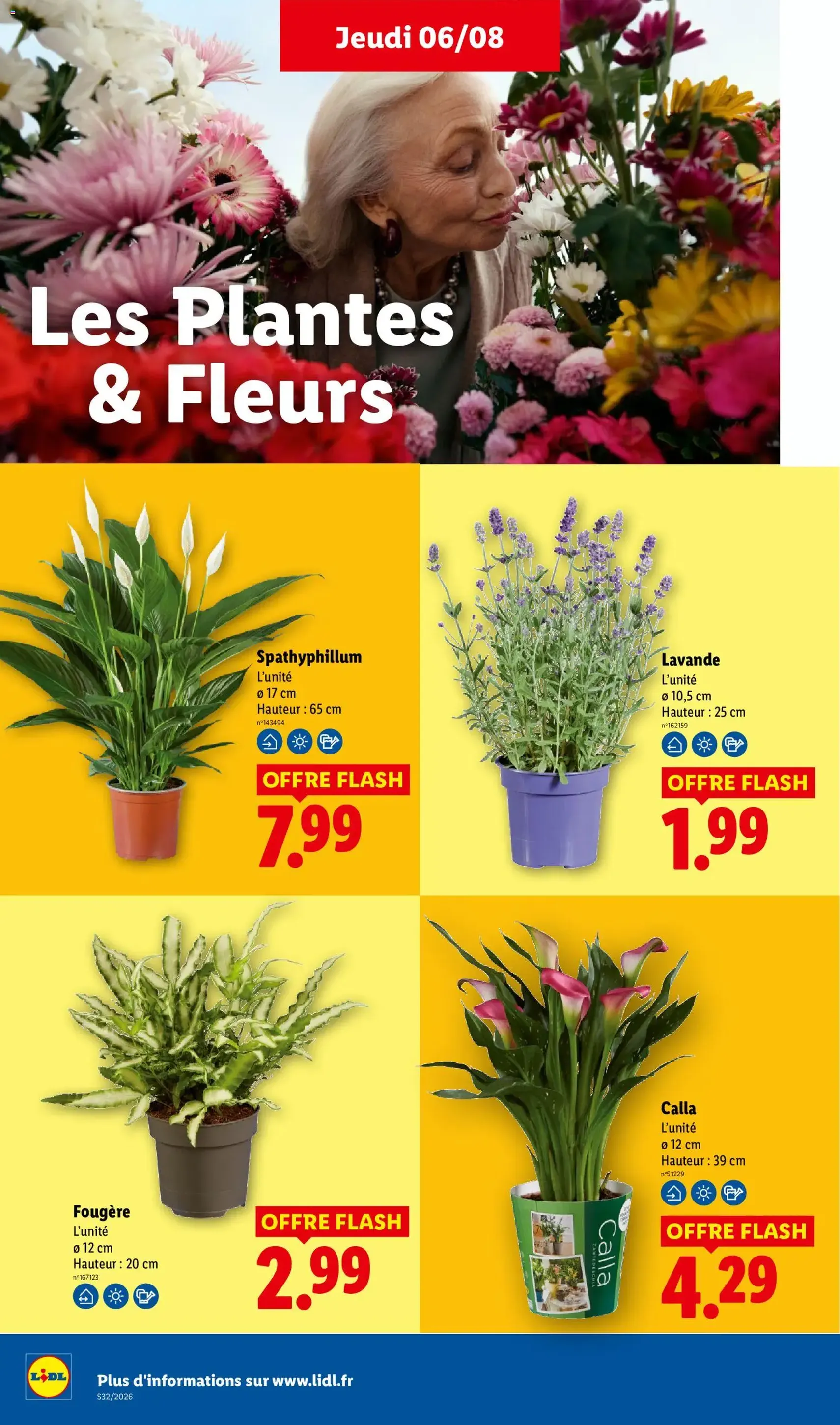 LIDL catalogue - brochure valable à partir du 06/08/2026, page 32 sur 61