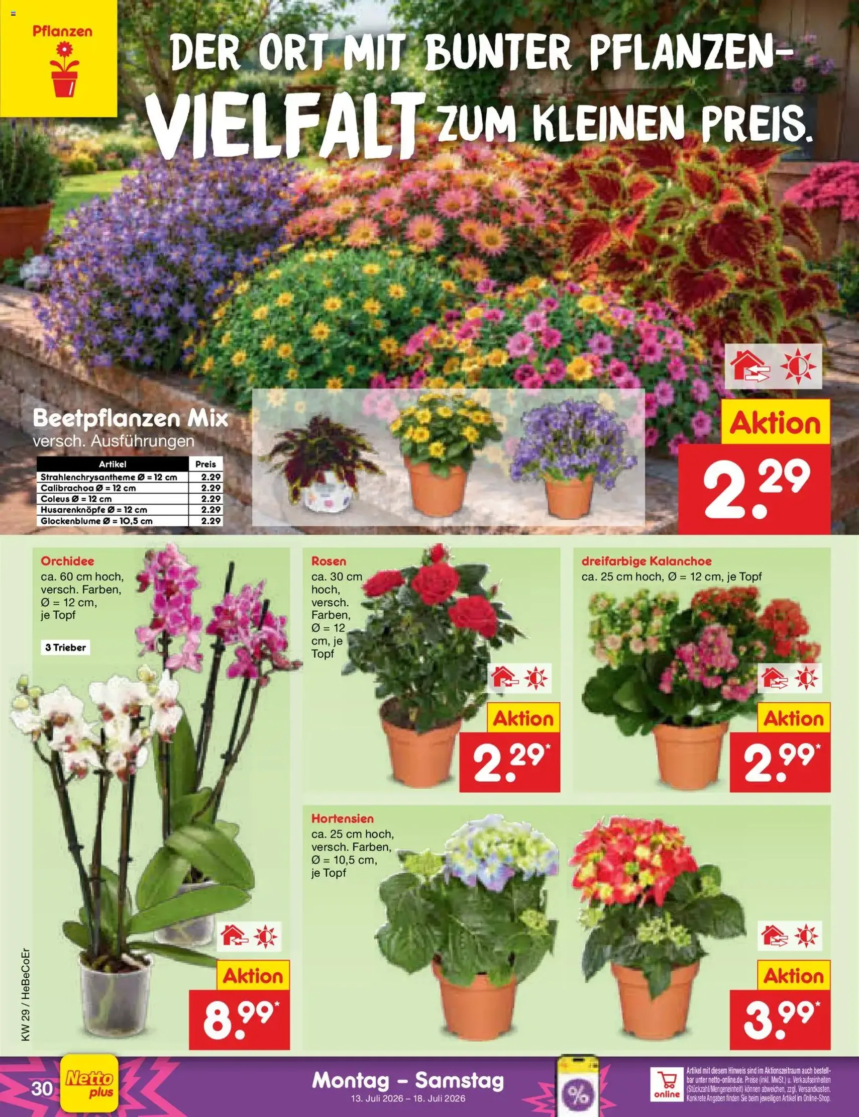 Netto Marken-Discount Prospekt - Gültiger Prospekt ab 13.07.2026, Seite 40 von insgesamt 73