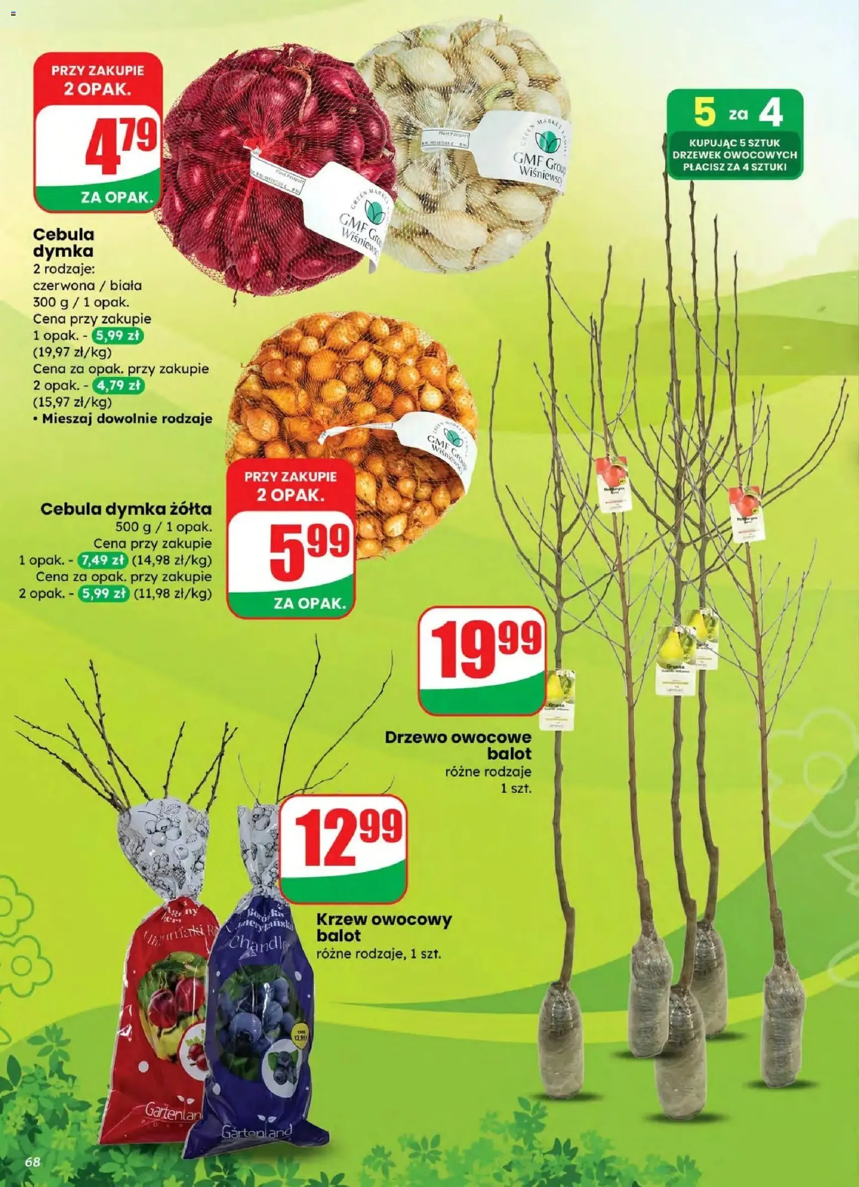 Dino gazetka - ważny gazetka od 04.03.2026 strona 68 z 82