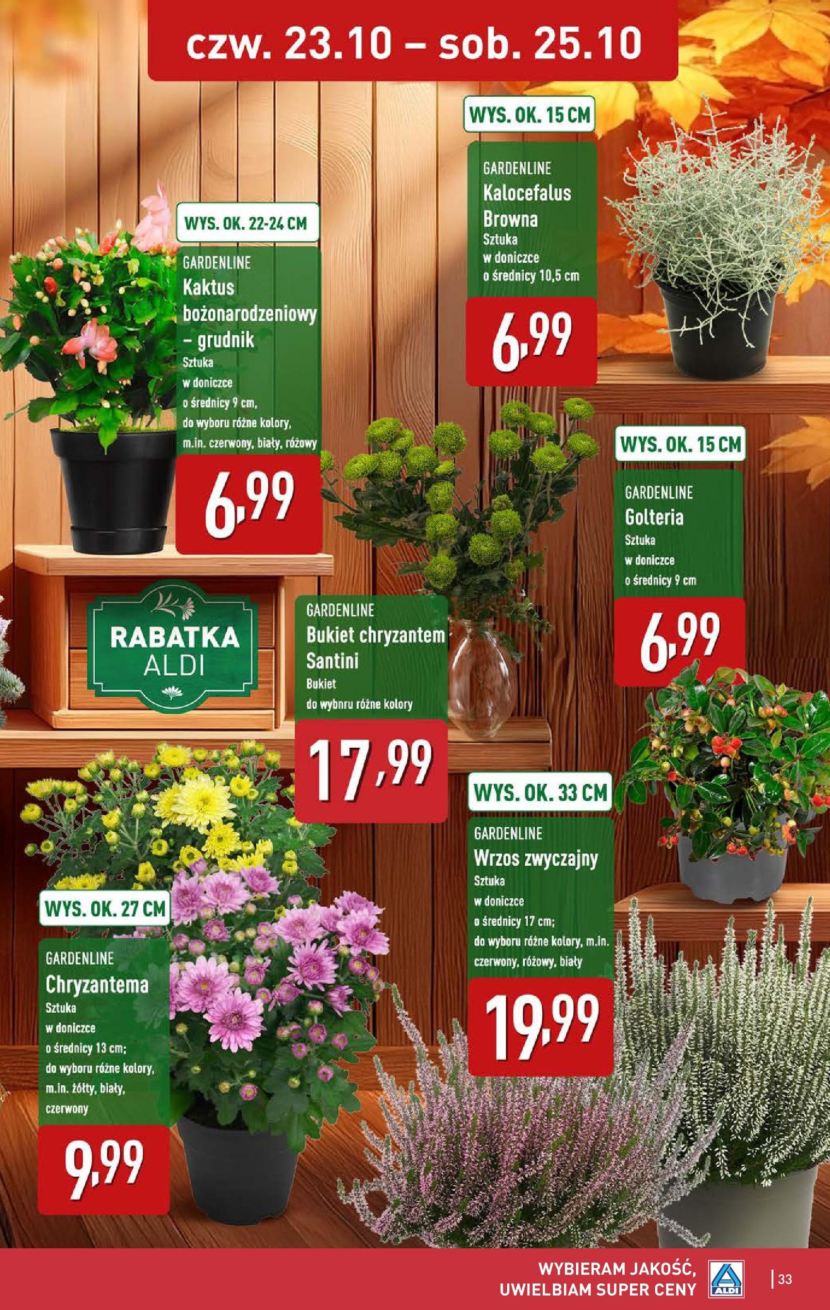 Aldi Gazetka - ważny gazetka od 20.10.2025 strona 33 z 41 Aldi Gazetka - ważny gazetka od 20.10.2025 strona 33 z 41