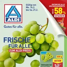 Aldi Prospekt - Prospekt Vorschau gültig ab 16.02.2026