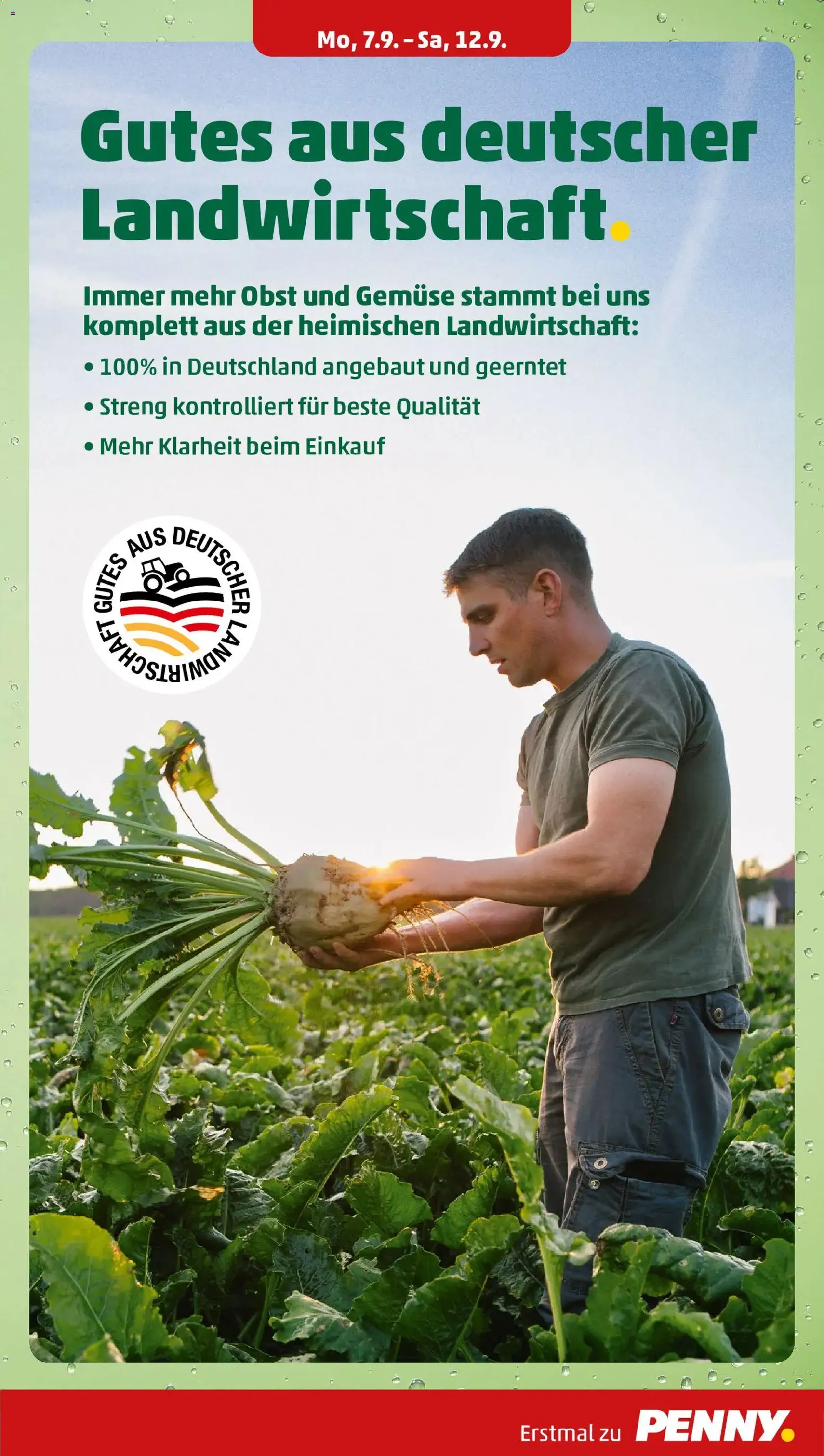 Penny Prospekt - Gültiger Prospekt ab 07.09.2026, Seite 5 von insgesamt 41