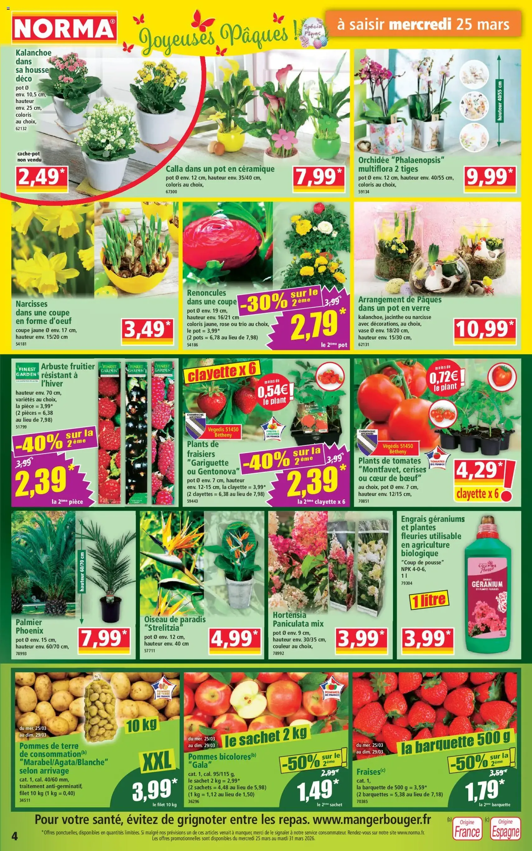 Norma catalogue - brochure valable à partir du 25/03/2026, page 4 sur 14