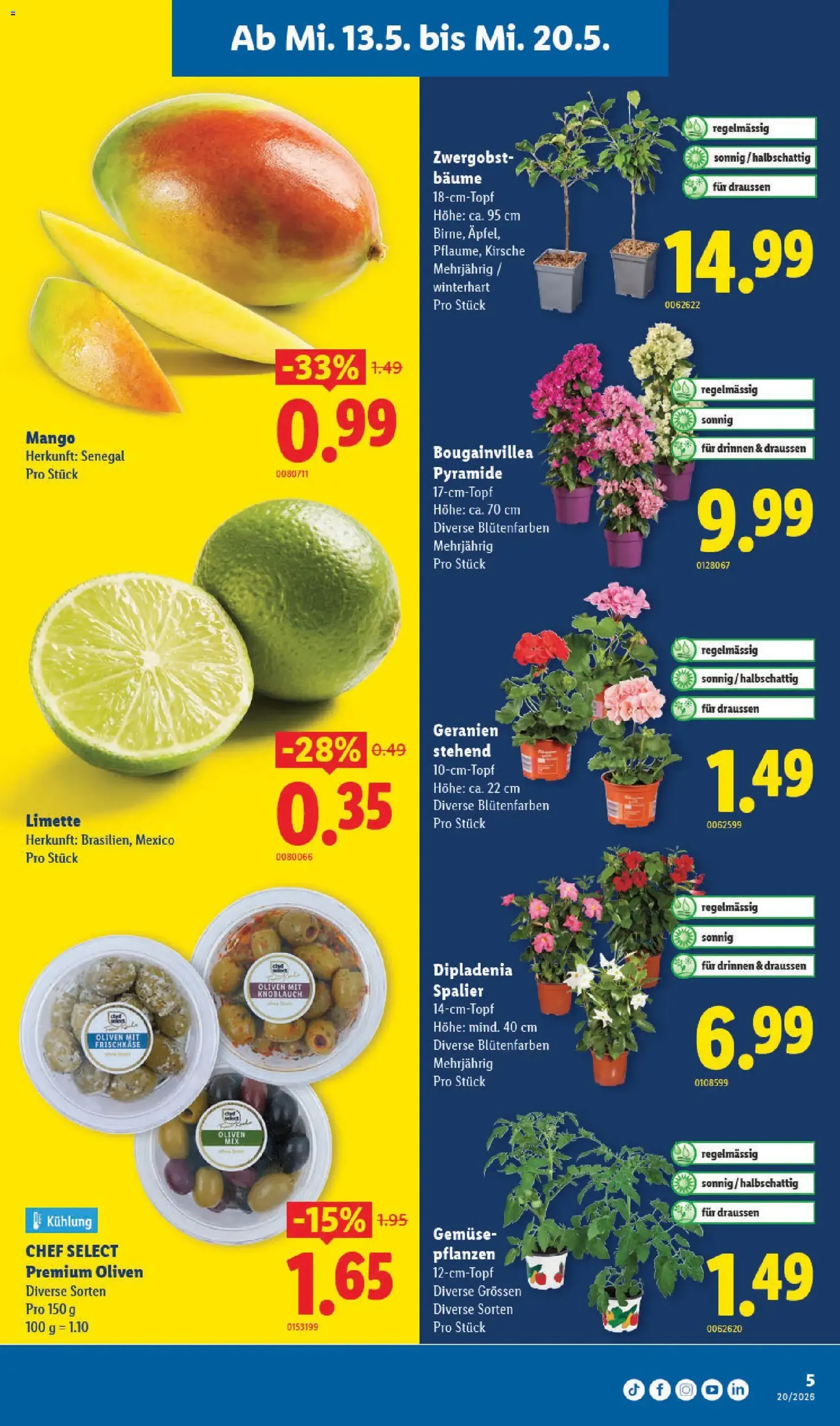 Lidl aktionen - Gültiger Prospekt ab 13.05.2026, Seite 5 von insgesamt 32