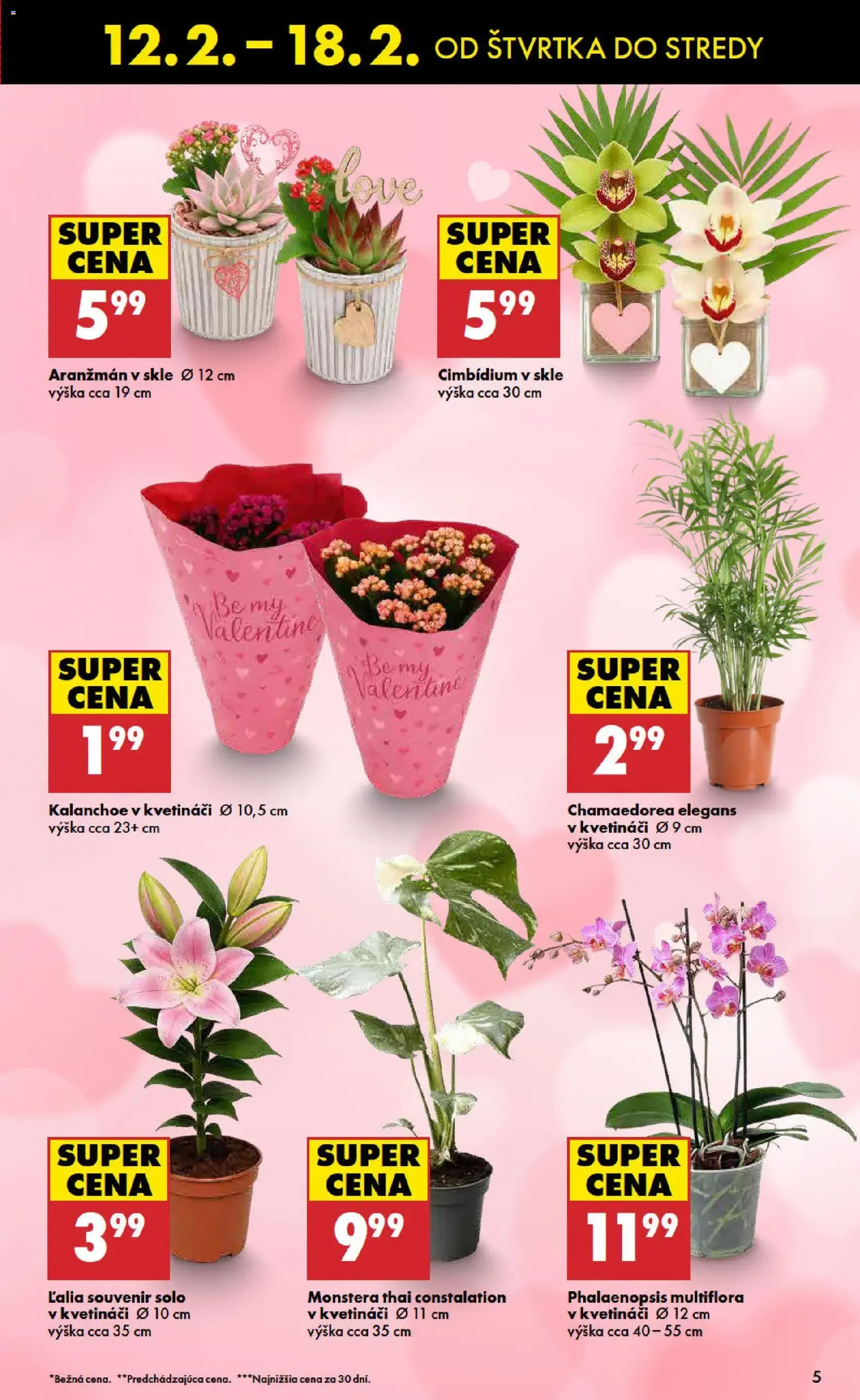 Biedronka leták - platný leták od 12.02.2026 strana 5 z 48