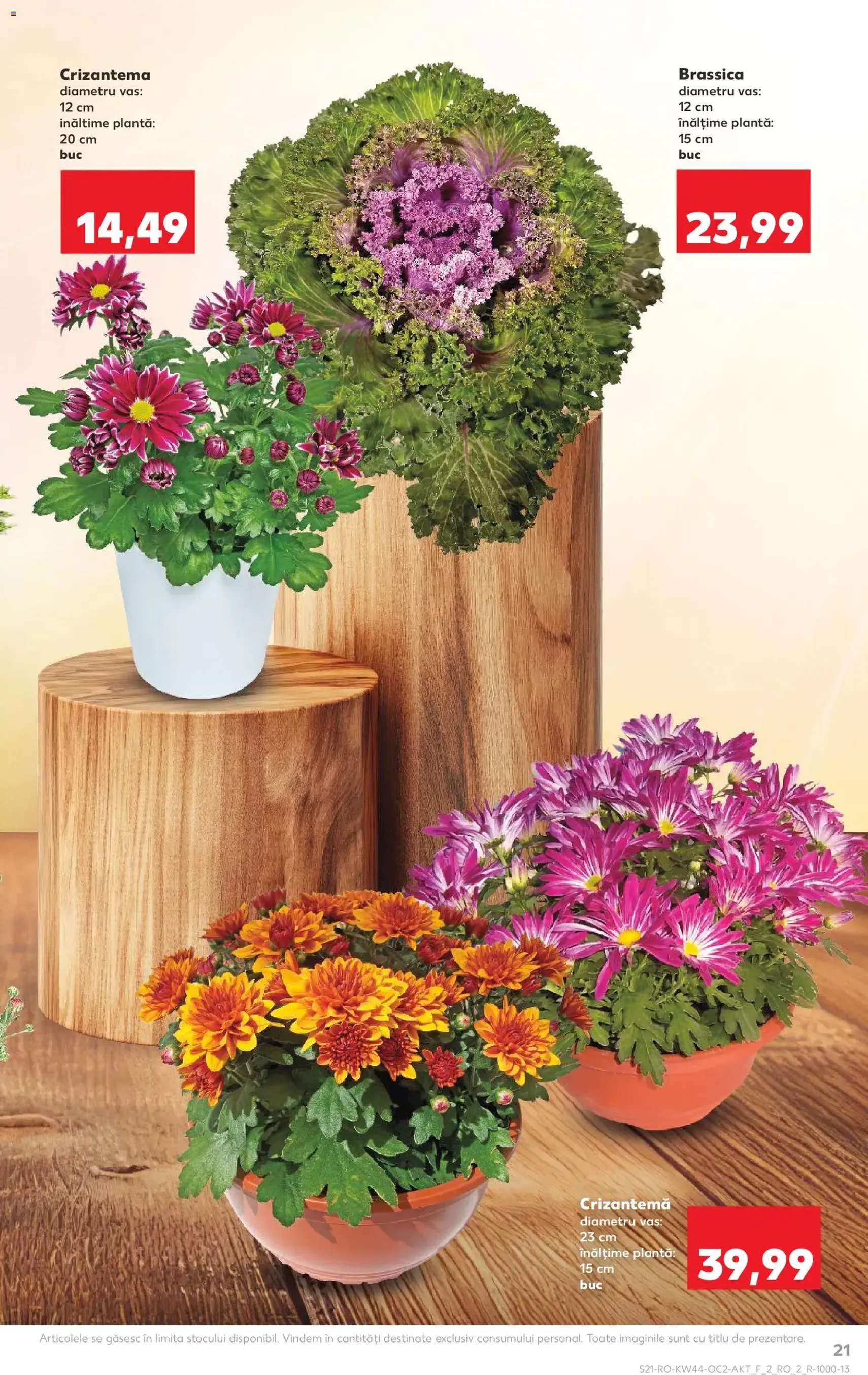 Kaufland RO - București - 2025.10.29. érvényes szórólap 21 oldal 70 oldalból Kaufland RO - București - 2025.10.29. érvényes szórólap 21 oldal 70 oldalból